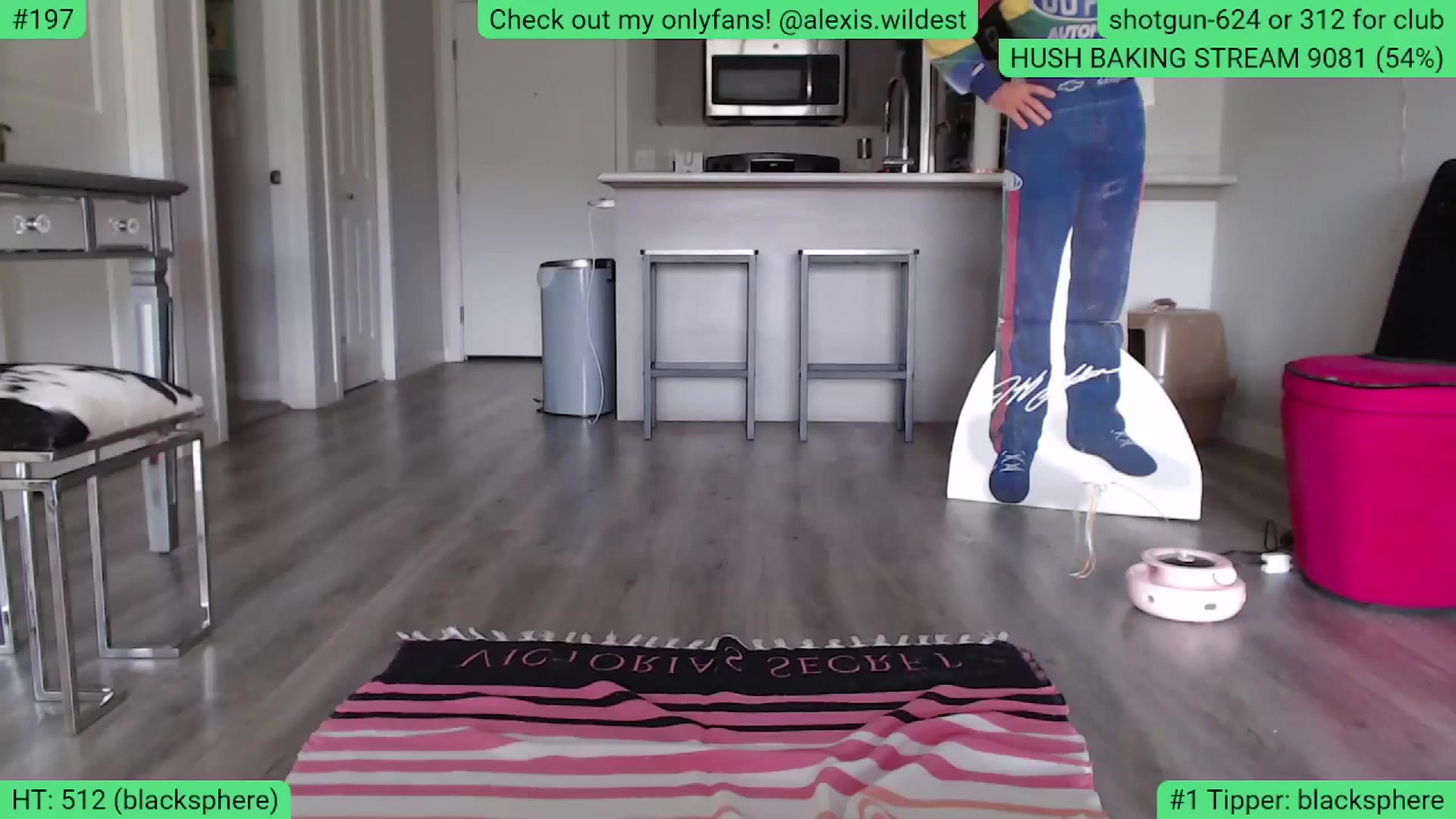Gallery image thumbnail from AlexisWildest's myfreecams stream on, 06/22/2024, 03:22 image 3 of 20
