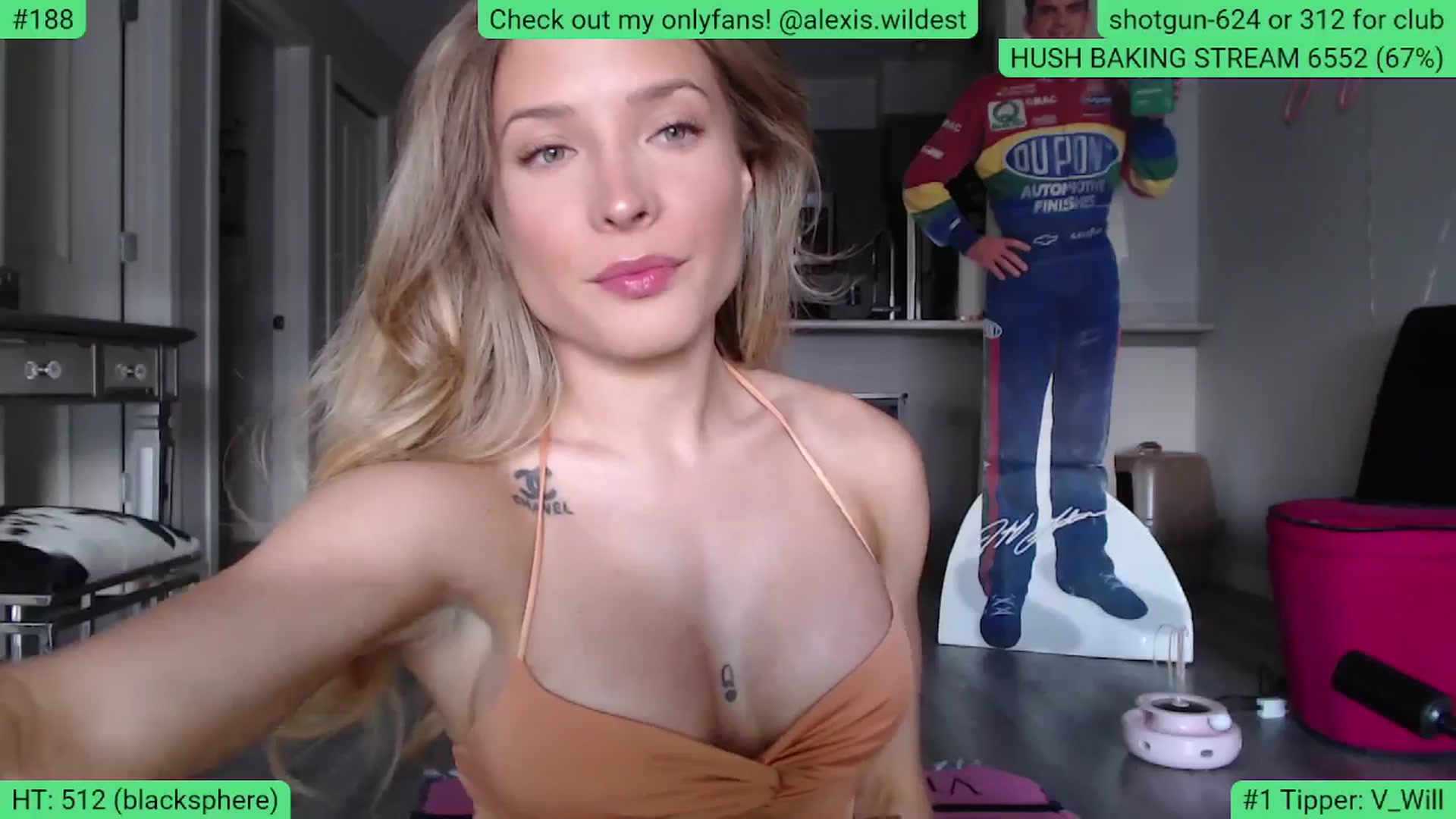 Gallery image thumbnail from AlexisWildest's myfreecams stream on, 06/22/2024, 03:22 image 8 of 20