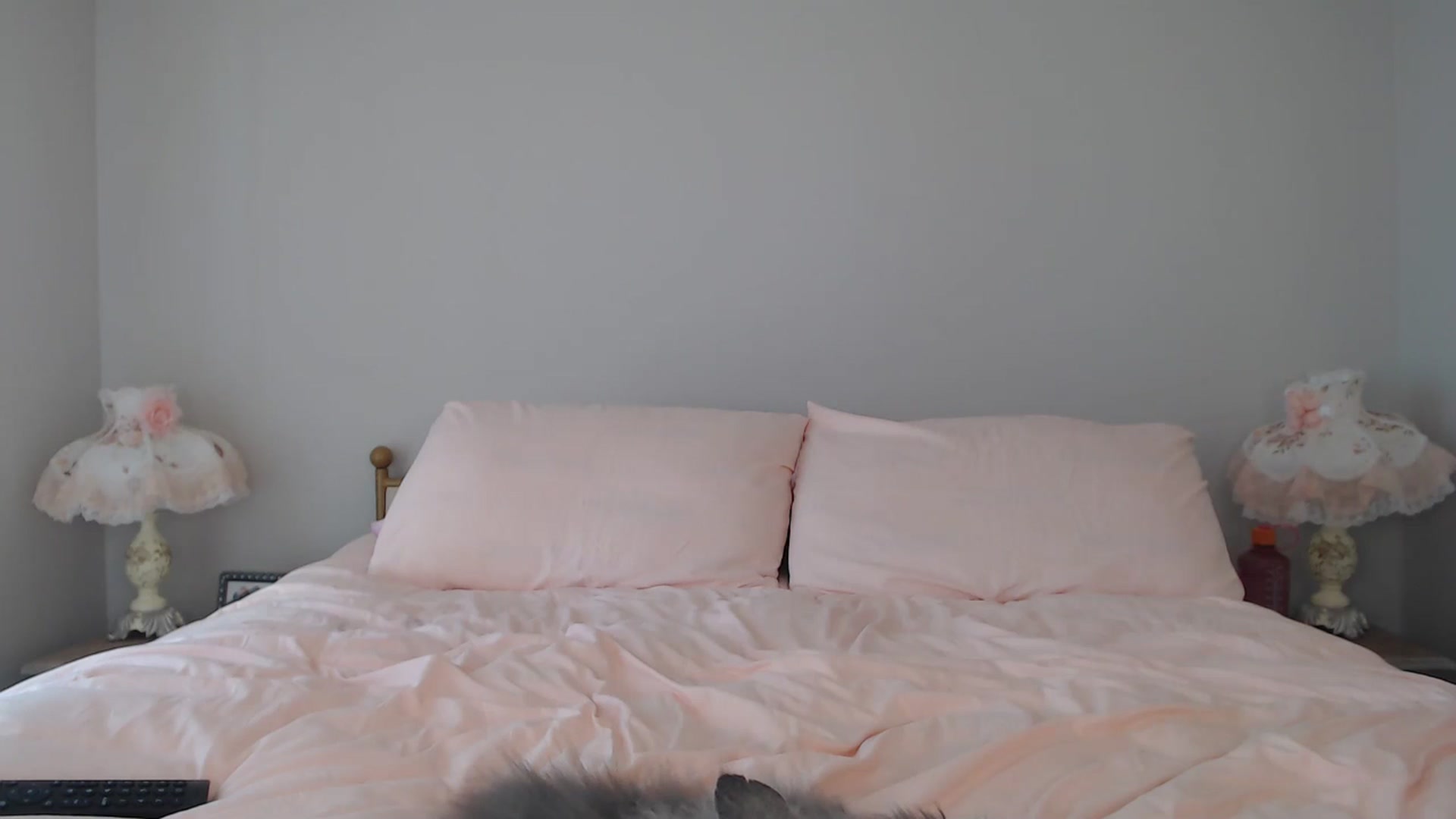 Gallery image thumbnail from AlexisWildest's myfreecams stream on, 07/27/2024, 03:27 image 2 of 20