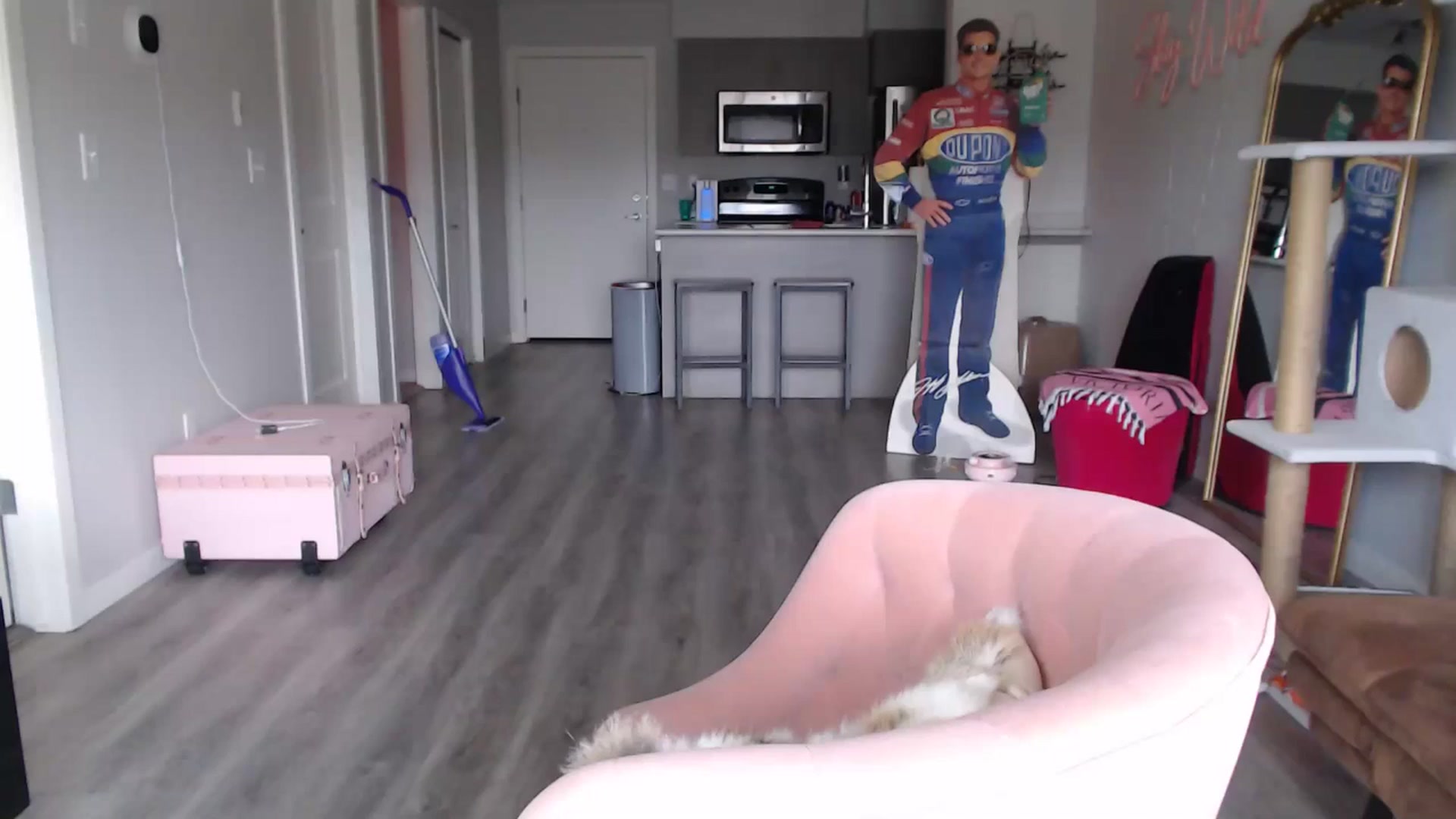 Gallery image thumbnail from AlexisWildest's myfreecams stream on, 08/05/2024, 02:39 image 7 of 20