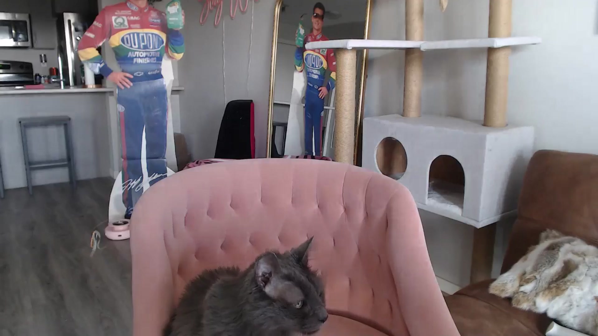 Gallery image thumbnail from AlexisWildest's myfreecams stream on, 08/12/2024, 01:22 image 11 of 20