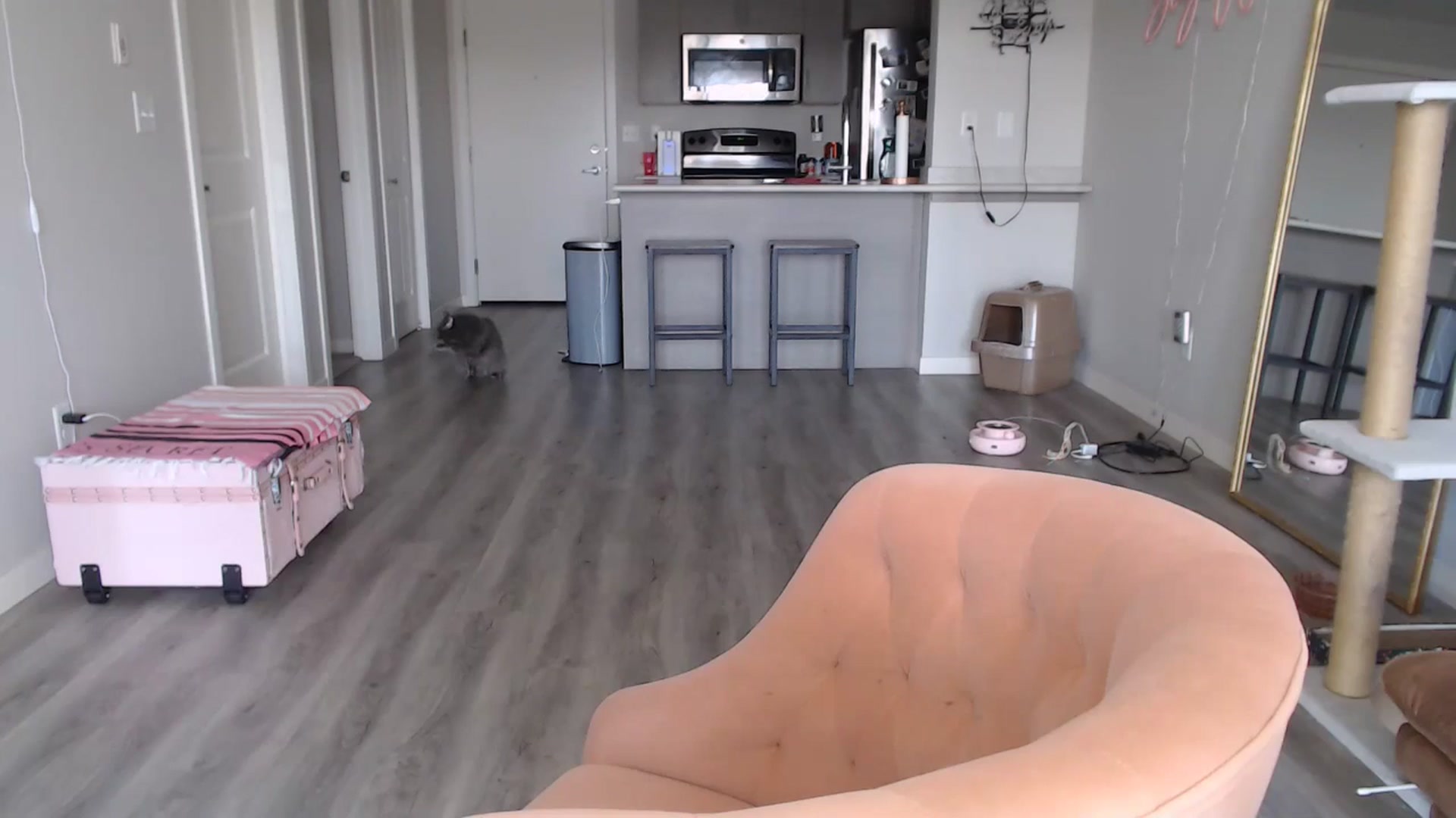 Gallery image thumbnail from AlexisWildest's myfreecams stream on, 08/13/2024, 24:04 image 15 of 20