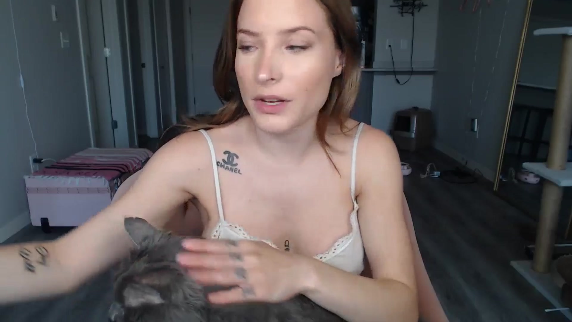 Gallery image thumbnail from AlexisWildest's myfreecams stream on, 08/13/2024, 02:09 image 17 of 20