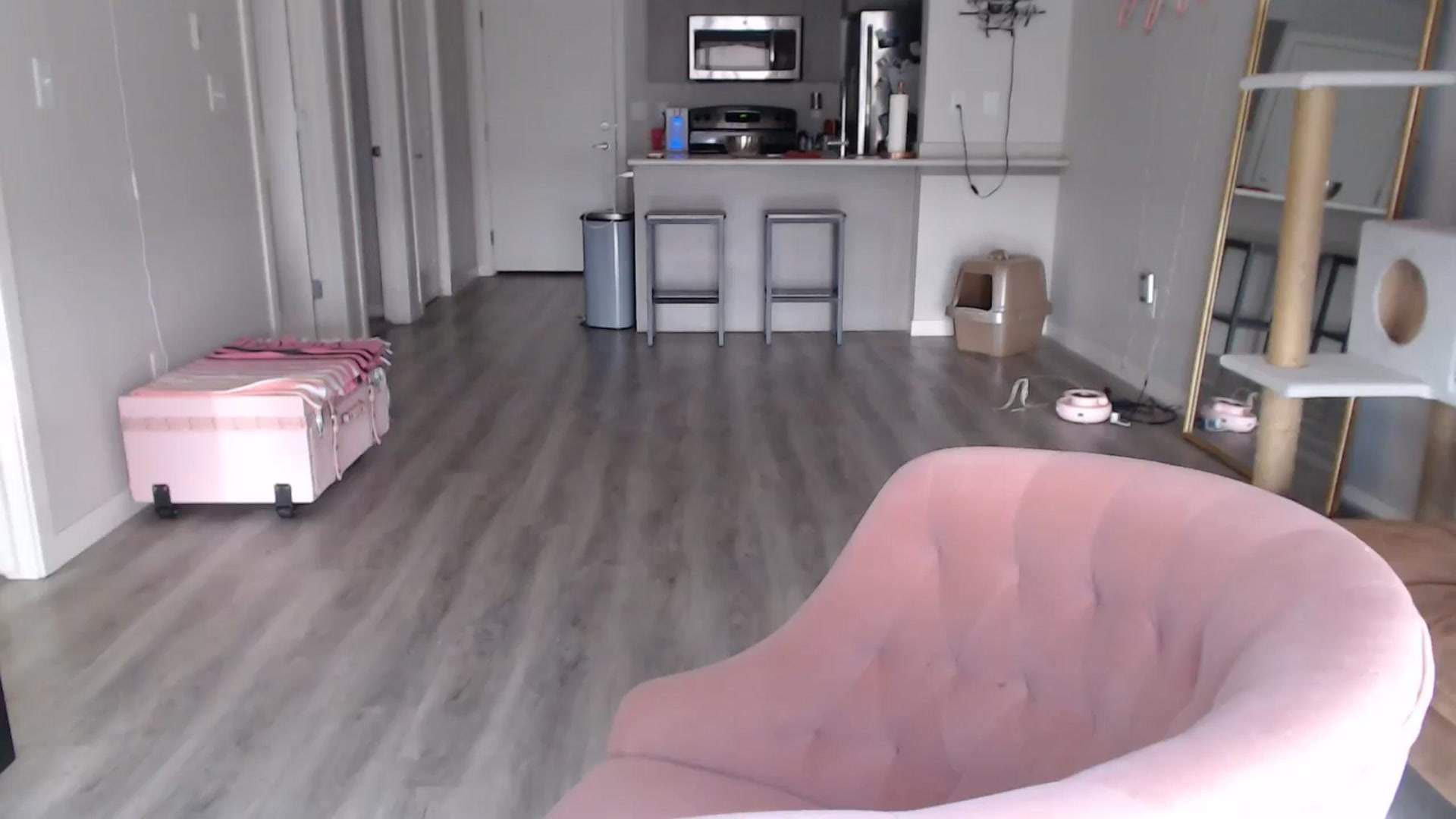 Gallery image thumbnail from AlexisWildest's myfreecams stream on, 08/15/2024, 24:02 image 10 of 20