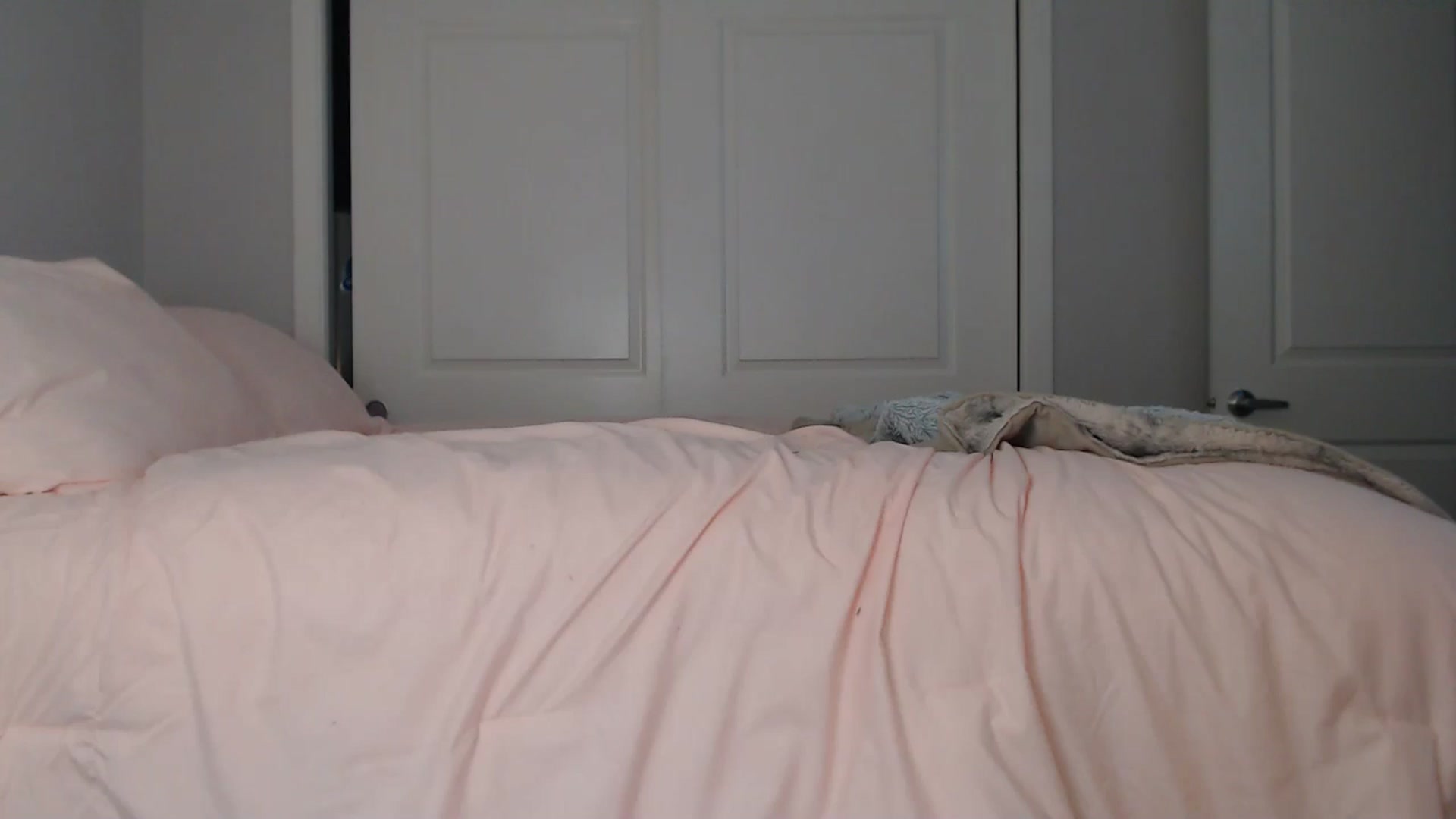 Gallery image thumbnail from AlexisWildest's myfreecams stream on, 08/22/2024, 01:58 image 18 of 20