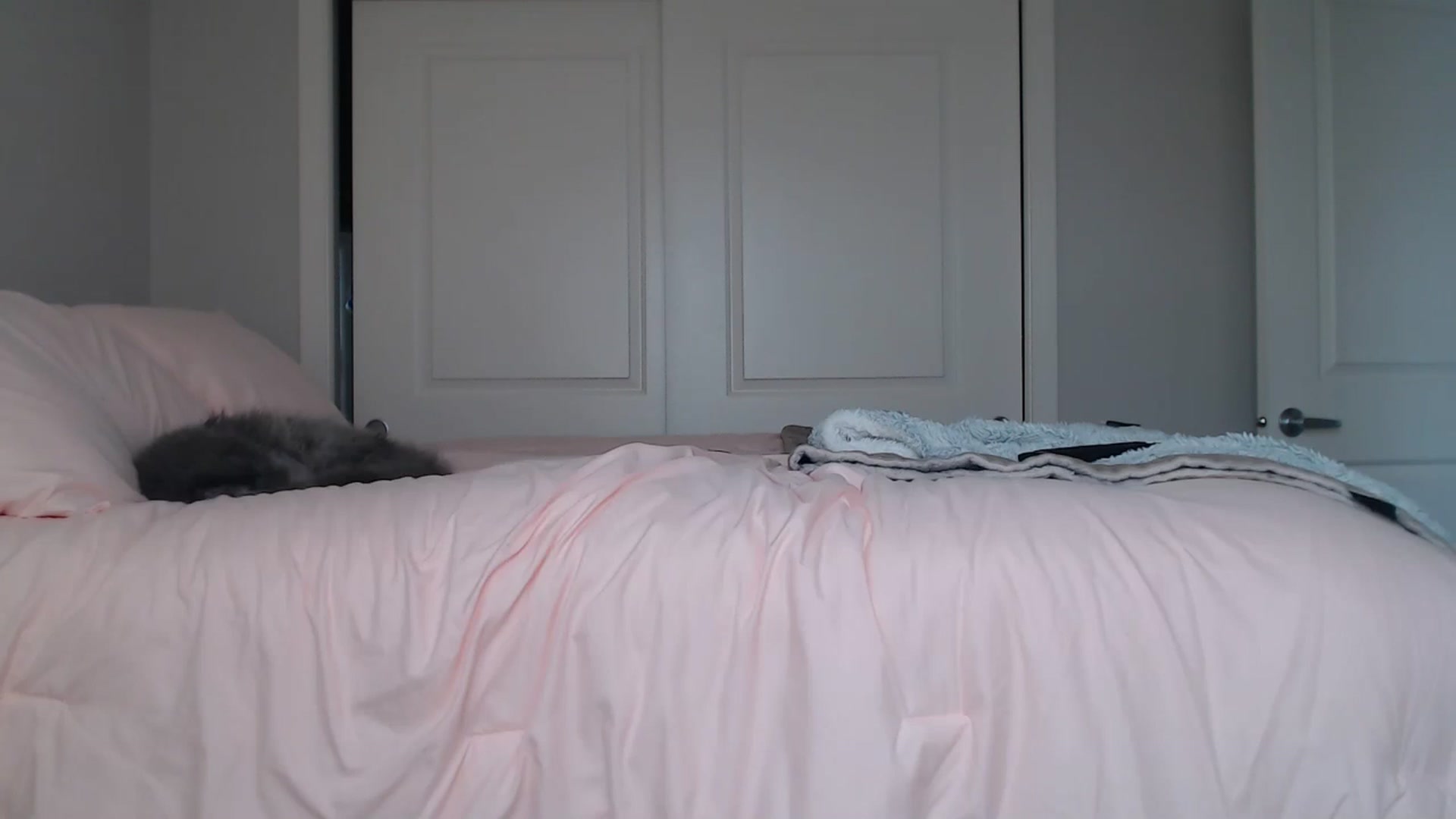 Gallery image thumbnail from AlexisWildest's myfreecams stream on, 08/24/2024, 24:03 image 18 of 20