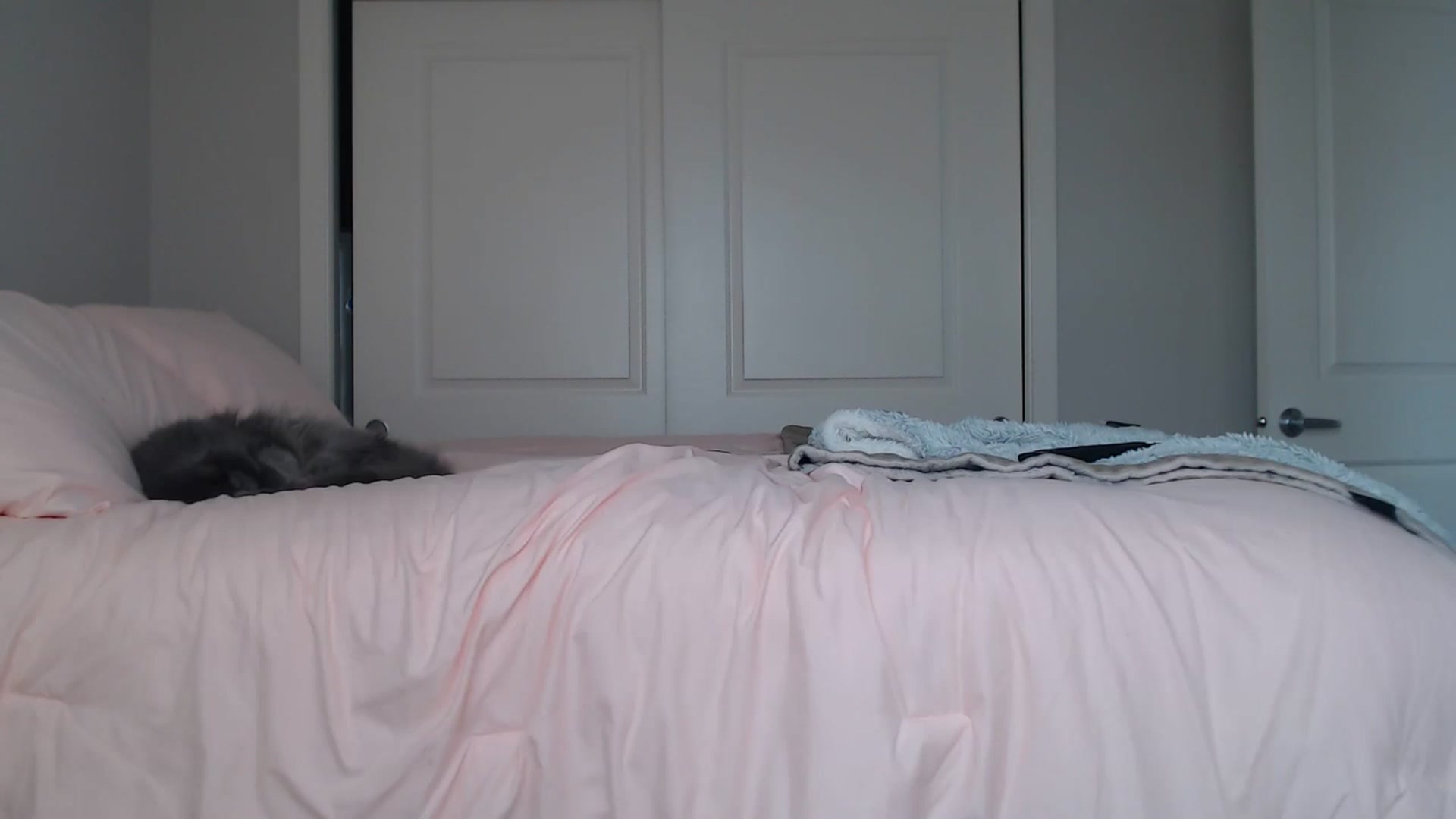 Gallery image thumbnail from AlexisWildest's myfreecams stream on, 08/24/2024, 24:03 image 17 of 20
