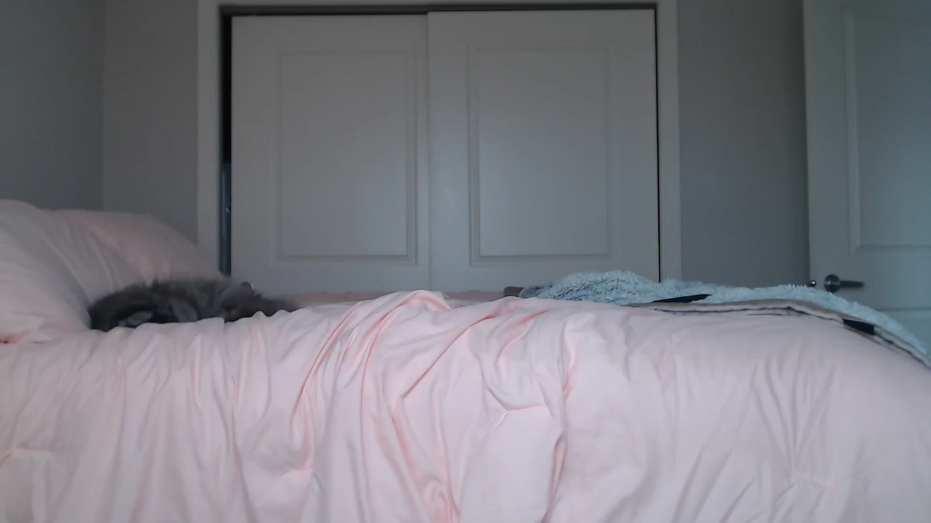 Gallery image thumbnail from AlexisWildest's myfreecams stream on, 08/24/2024, 24:46 image 8 of 20