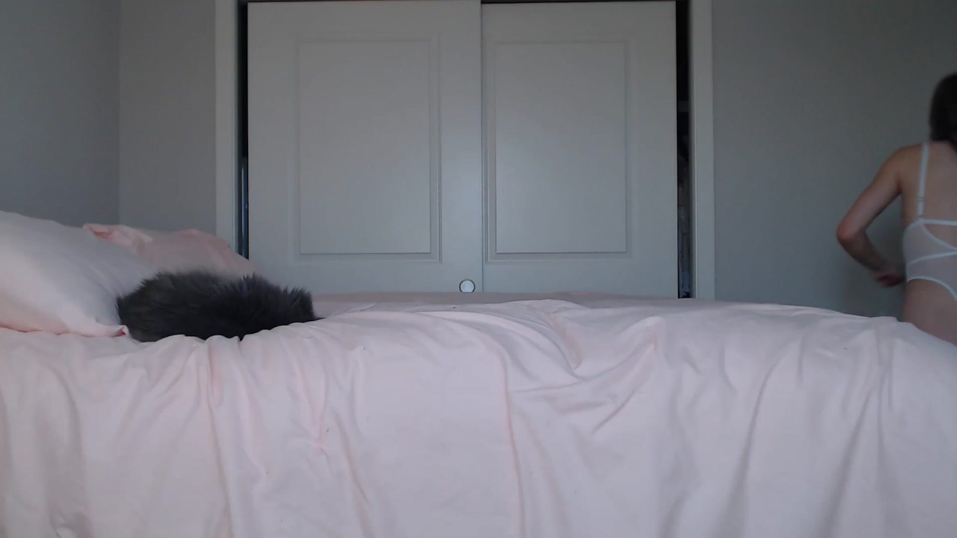 Gallery image thumbnail from AlexisWildest's myfreecams stream on, 08/27/2024, 02:02 image 14 of 20
