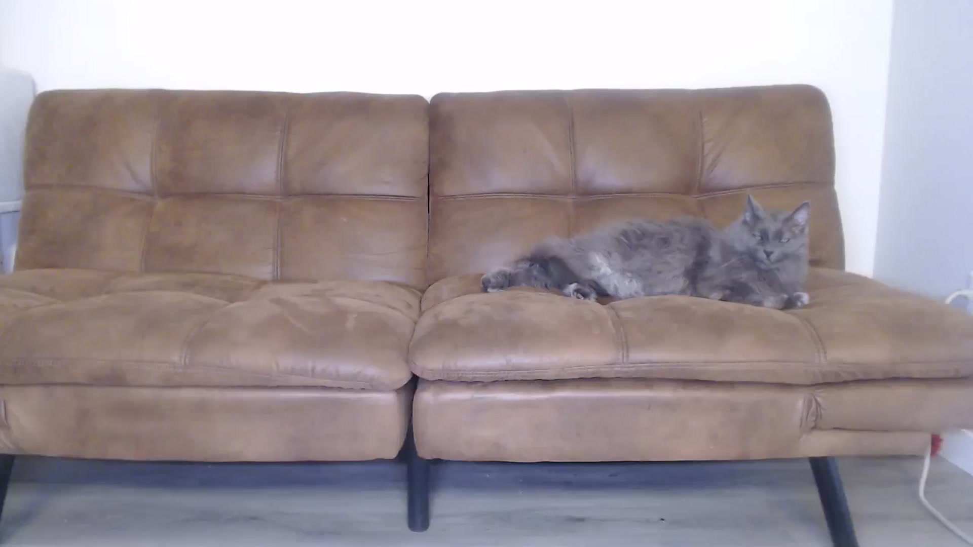 Gallery image thumbnail from AlexisWildest's myfreecams stream on, 09/11/2024, 22:00 image 5 of 20