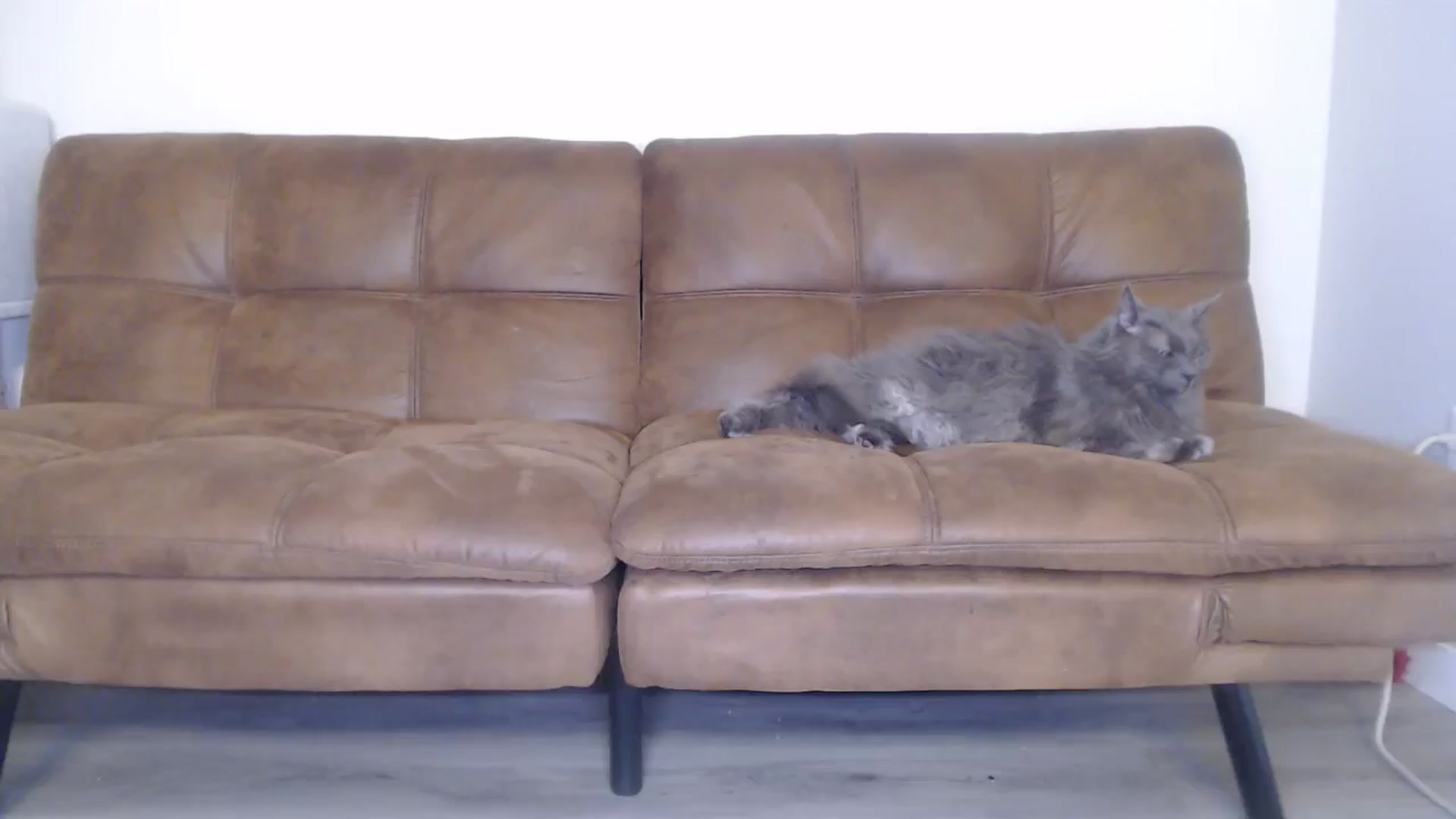 Gallery image thumbnail from AlexisWildest's myfreecams stream on, 09/11/2024, 22:00 image 6 of 20