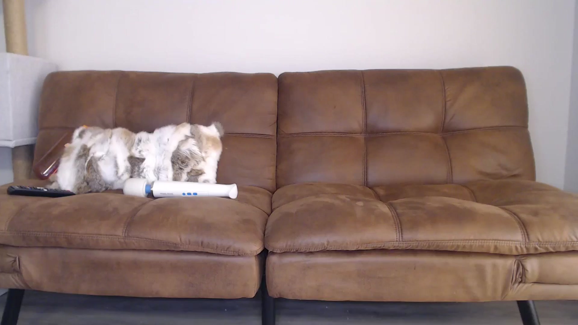 Gallery image thumbnail from AlexisWildest's myfreecams stream on, 09/18/2024, 22:54 image 13 of 20