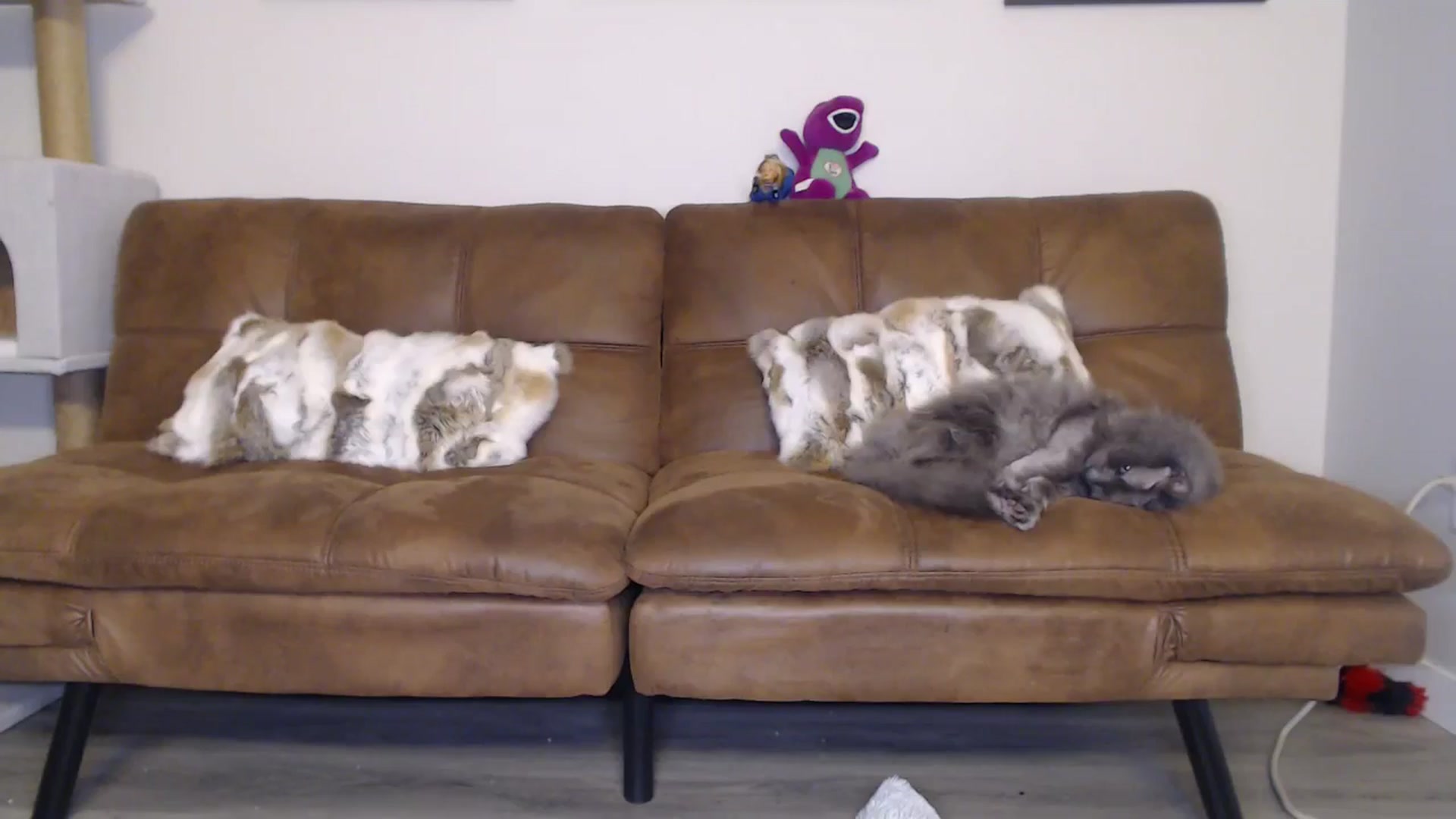 Gallery image thumbnail from AlexisWildest's myfreecams stream on, 09/22/2024, 03:12 image 7 of 20
