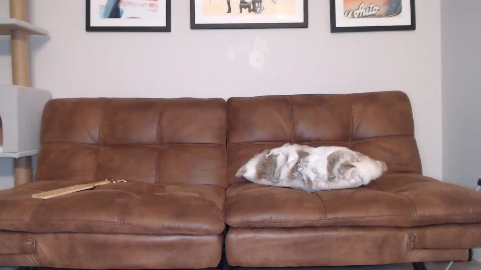 Gallery image thumbnail from AlexisWildest's myfreecams stream on, 10/01/2024, 03:29 image 20 of 20