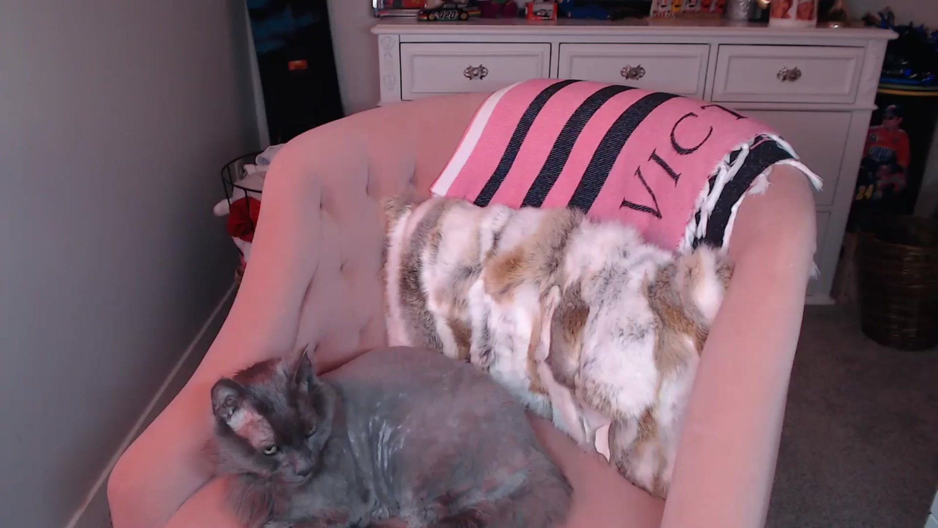Gallery image thumbnail from AlexisWildest's myfreecams stream on, 10/15/2024, 02:47 image 14 of 20