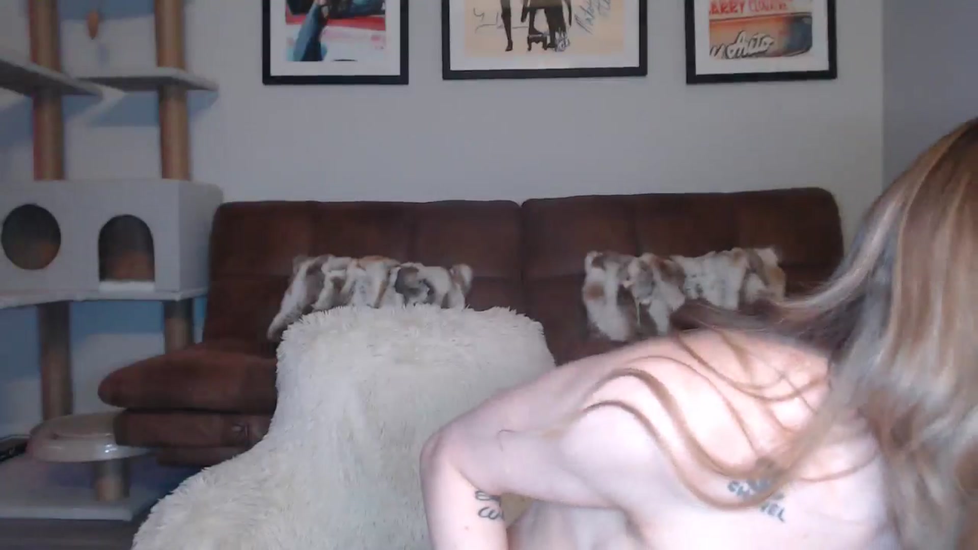 Gallery image thumbnail from AlexisWildest's myfreecams stream on, 12/07/2024, 03:42 image 19 of 20