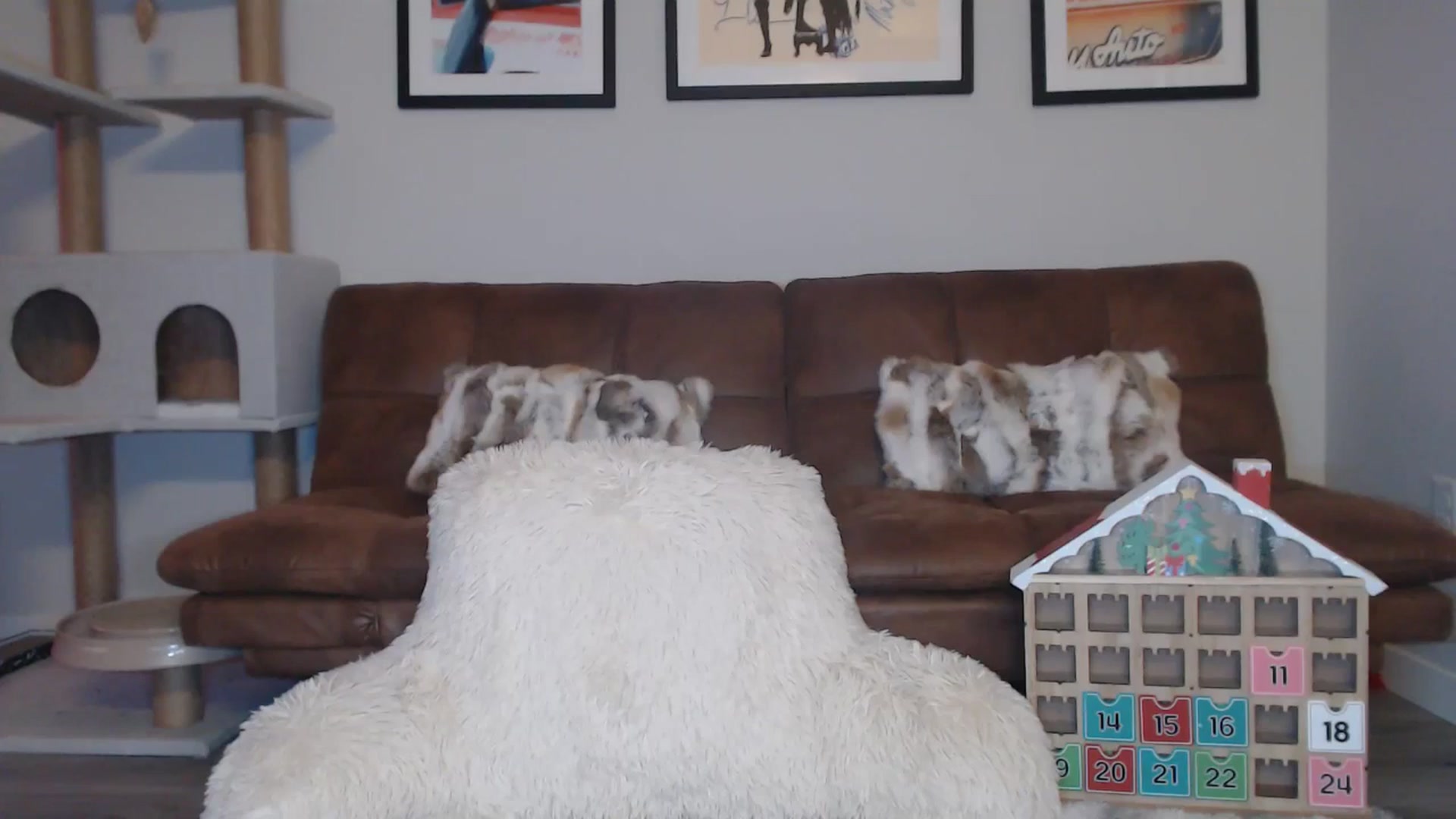 Gallery image thumbnail from AlexisWildest's myfreecams stream on, 12/07/2024, 03:42 image 16 of 20