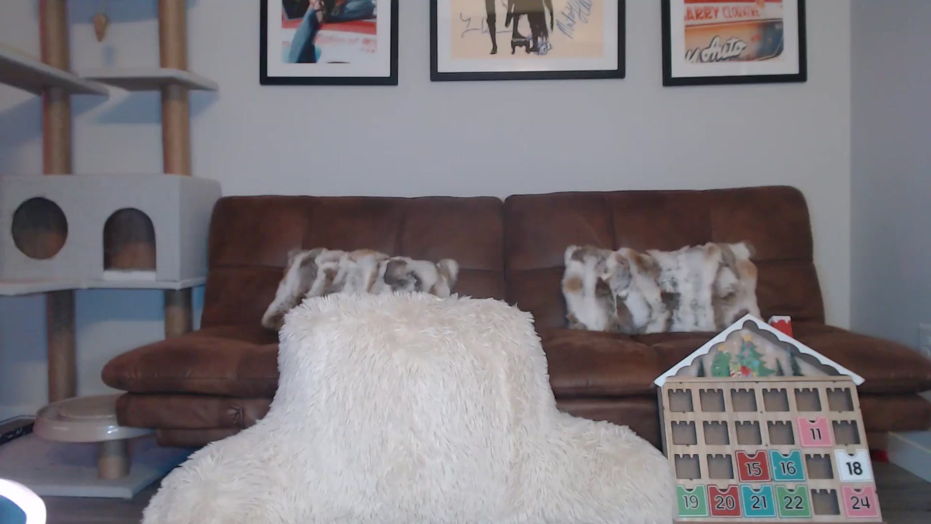 Gallery image thumbnail from AlexisWildest's myfreecams stream on, 12/07/2024, 04:56 image 5 of 20