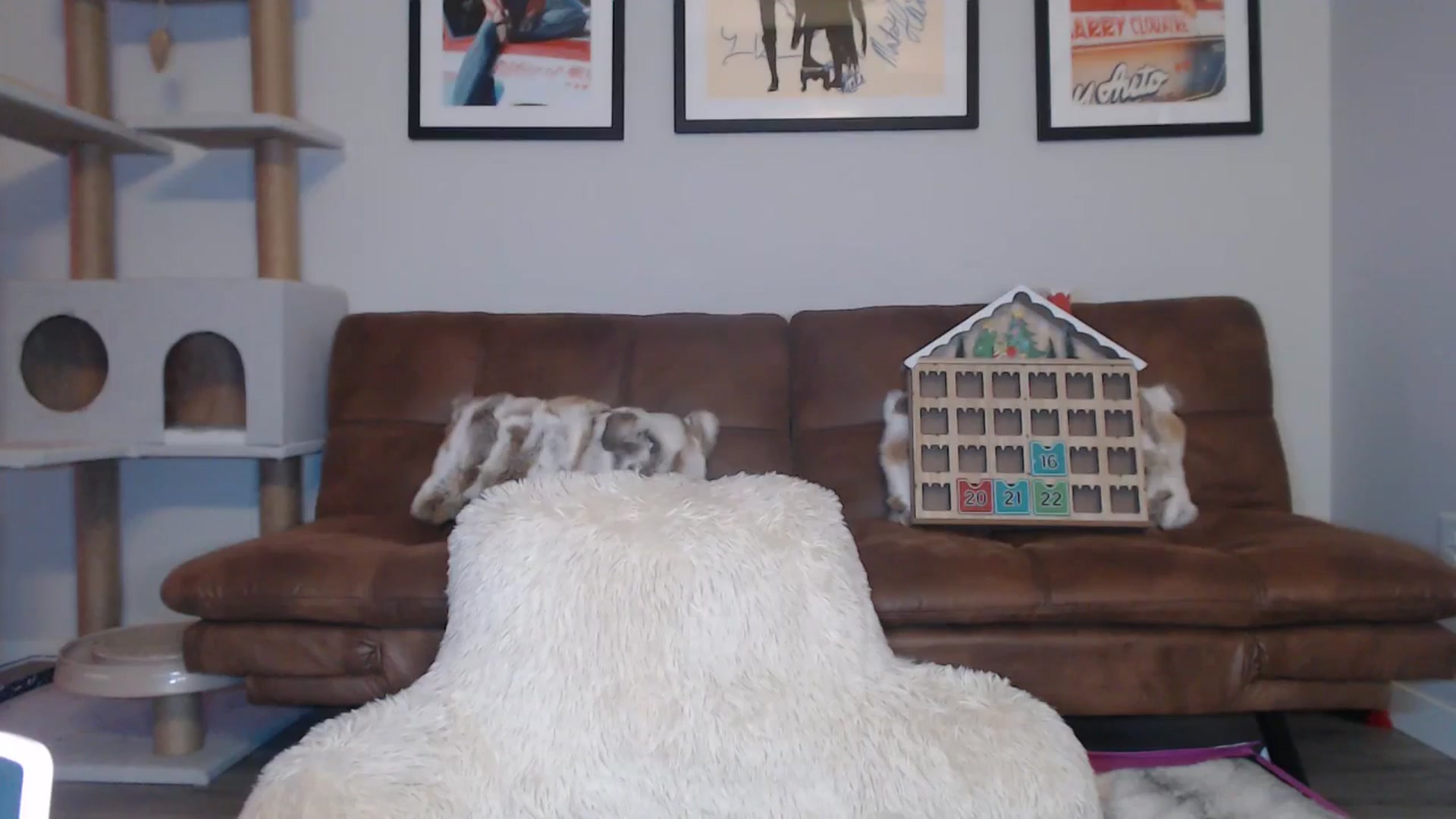 Gallery image thumbnail from AlexisWildest's myfreecams stream on, 12/07/2024, 04:56 image 17 of 20