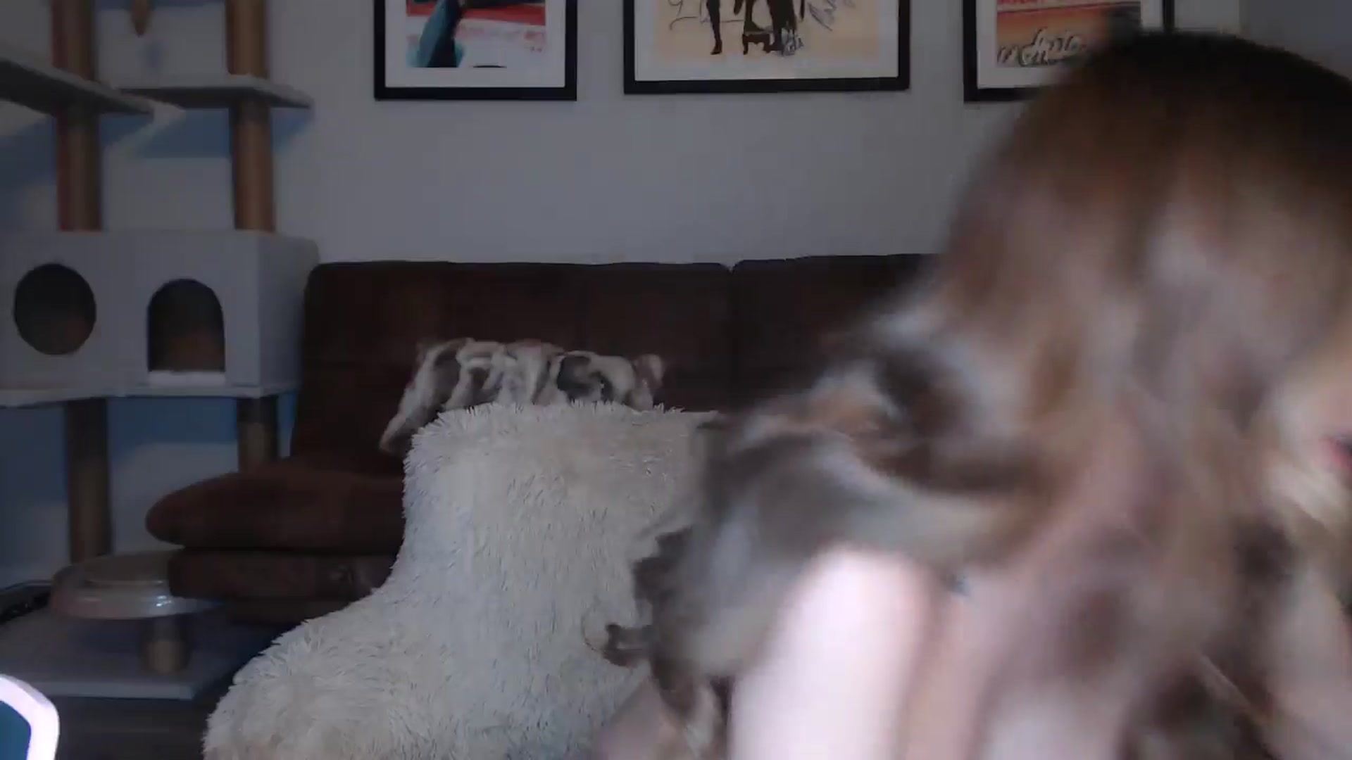 Gallery image thumbnail from AlexisWildest's myfreecams stream on, 12/07/2024, 04:56 image 6 of 20