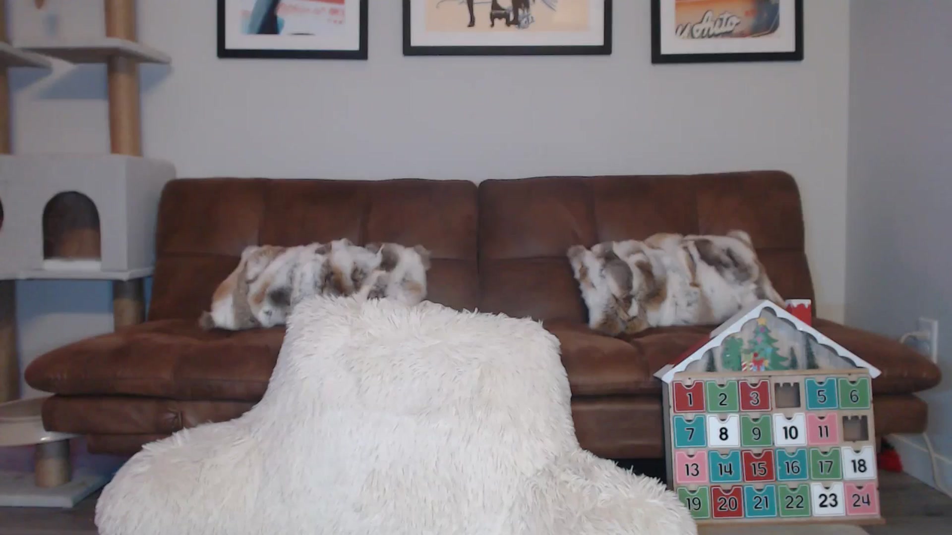Gallery image thumbnail from AlexisWildest's myfreecams stream on, 12/21/2024, 02:08 image 8 of 20