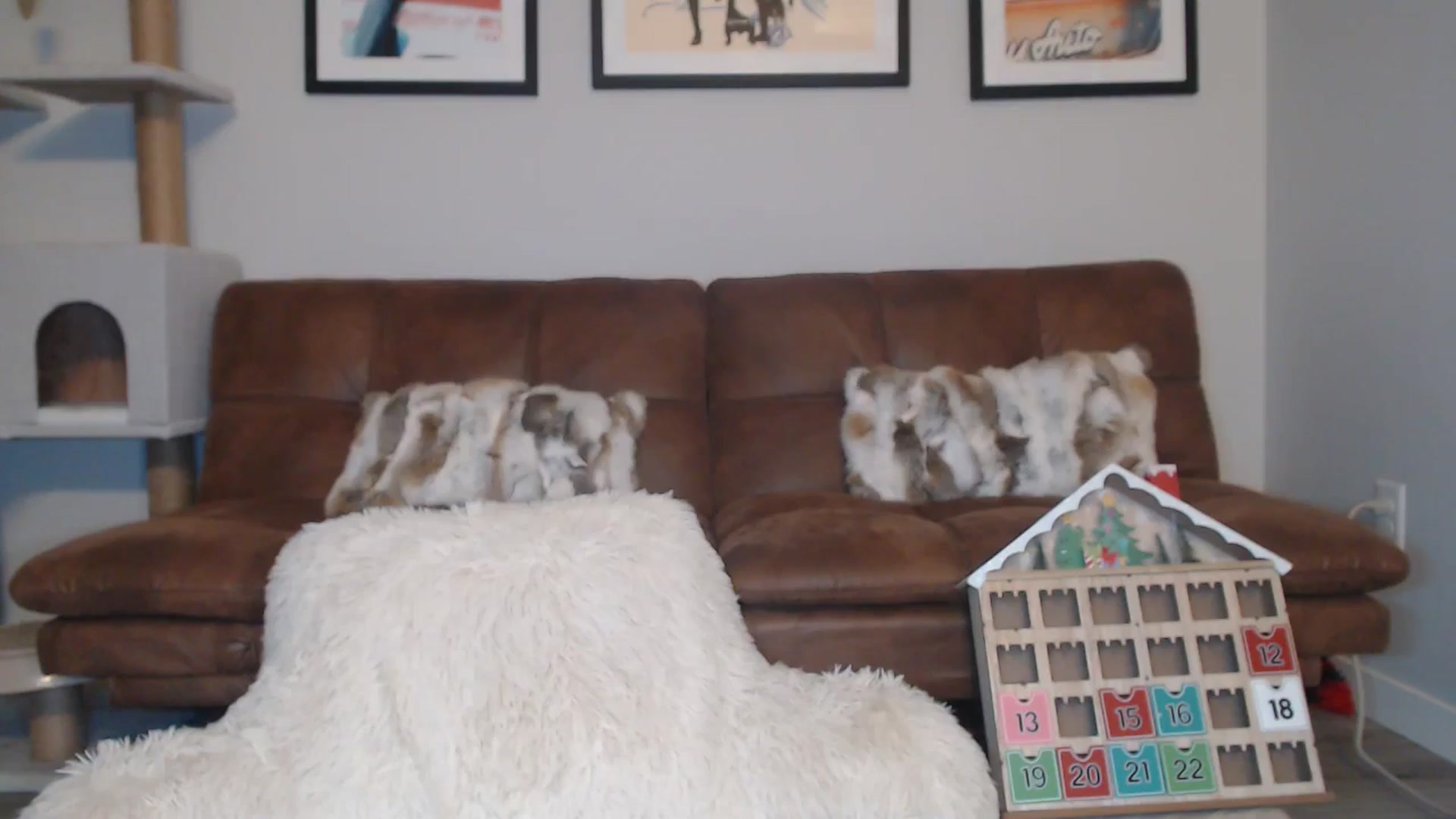 Gallery image thumbnail from AlexisWildest's myfreecams stream on, 12/25/2024, 24:08 image 19 of 20