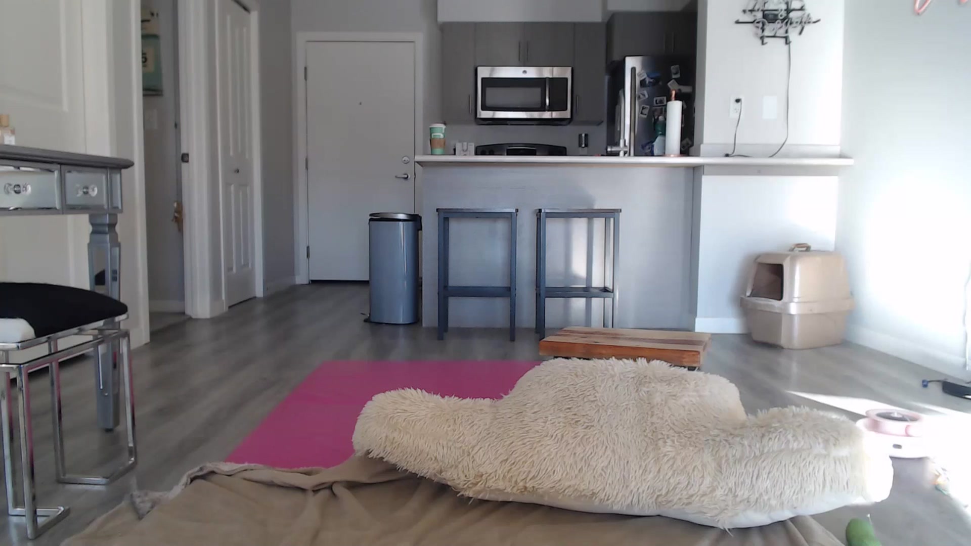 Gallery image thumbnail from AlexisWildest's myfreecams stream on, 12/29/2024, 20:40 image 19 of 20