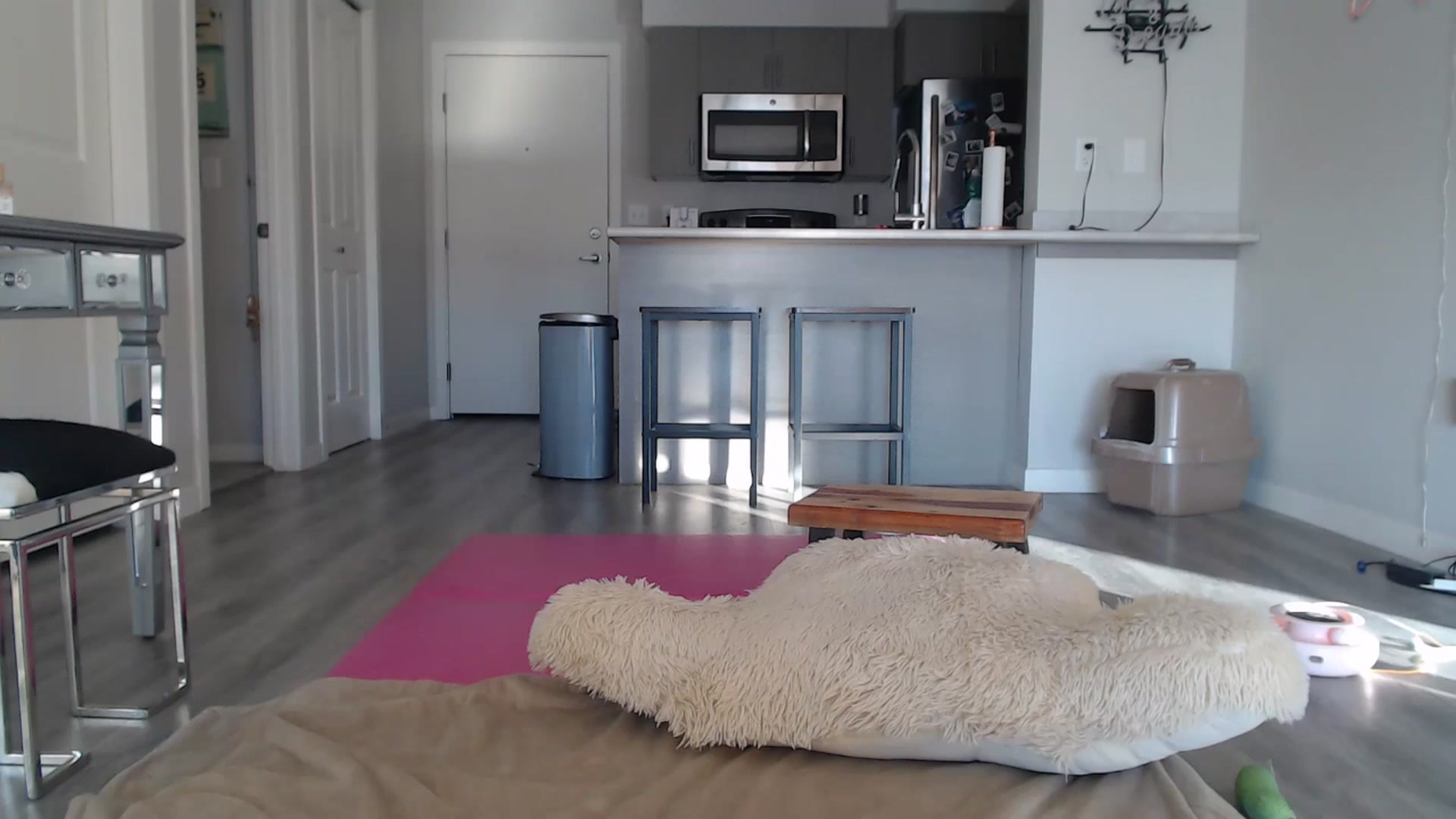 Gallery image thumbnail from AlexisWildest's myfreecams stream on, 12/29/2024, 23:09 image 6 of 20