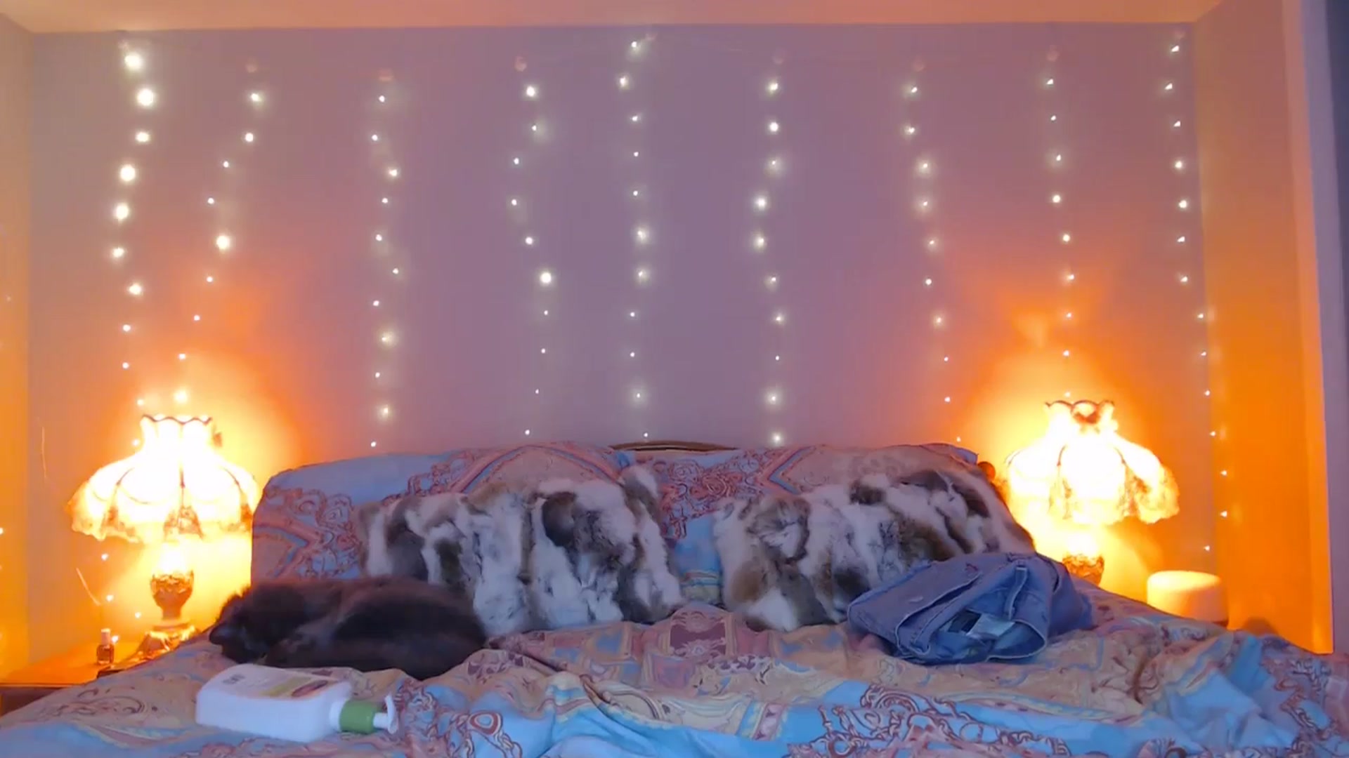 Gallery image thumbnail from AlexisWildest's myfreecams stream on, 12/31/2024, 23:34 image 10 of 20