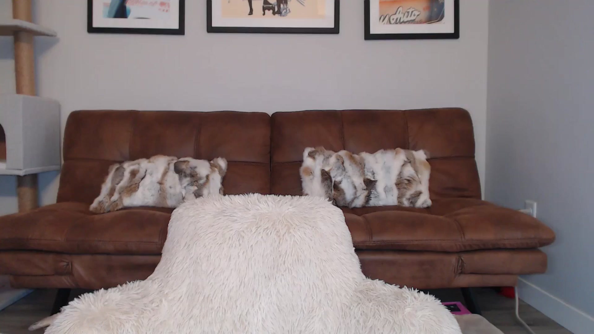 Gallery image thumbnail from AlexisWildest's myfreecams stream on, 01/01/2025, 22:06 image 15 of 20