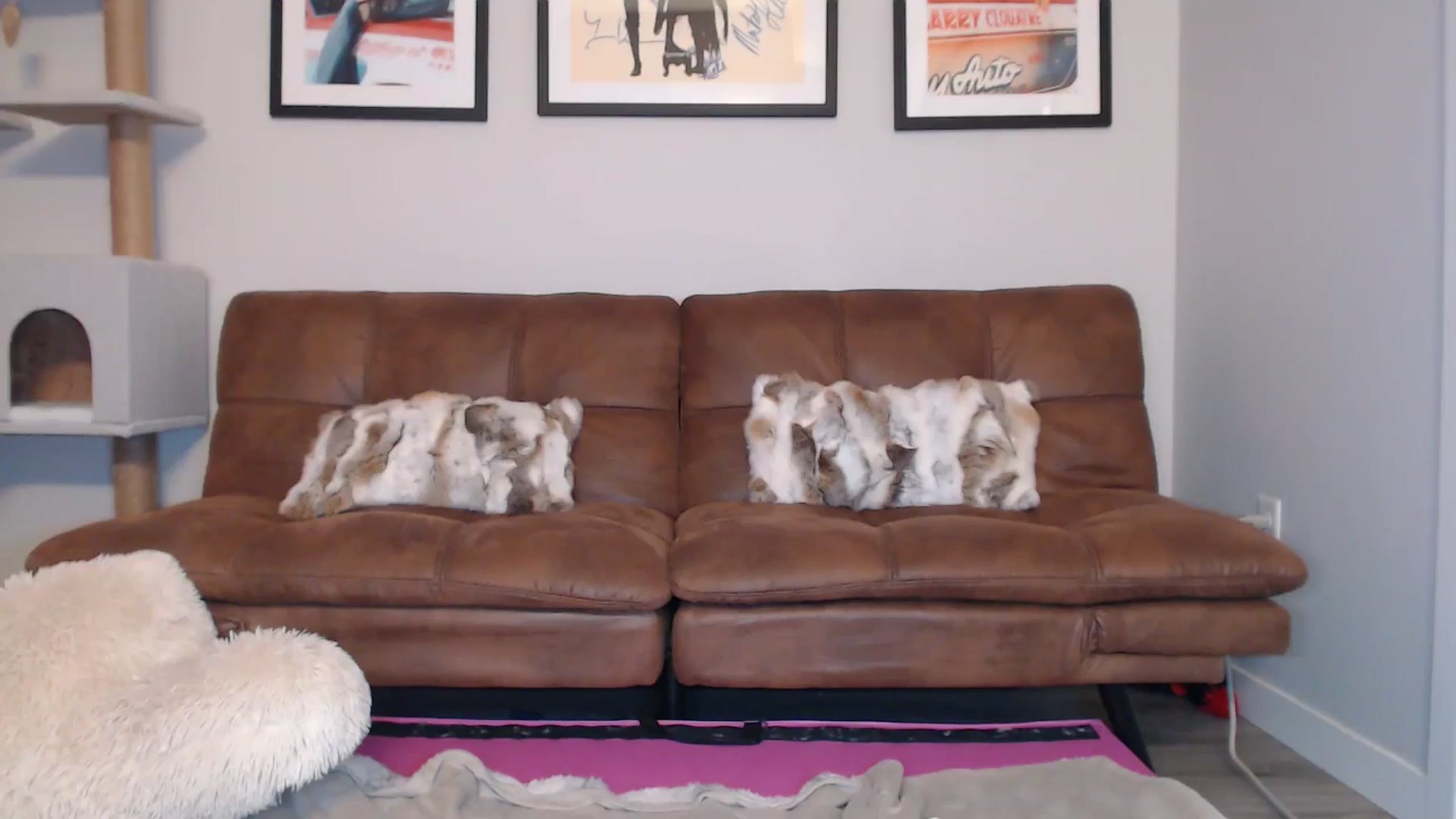 Gallery image thumbnail from AlexisWildest's myfreecams stream on, 01/02/2025, 24:19 image 8 of 20