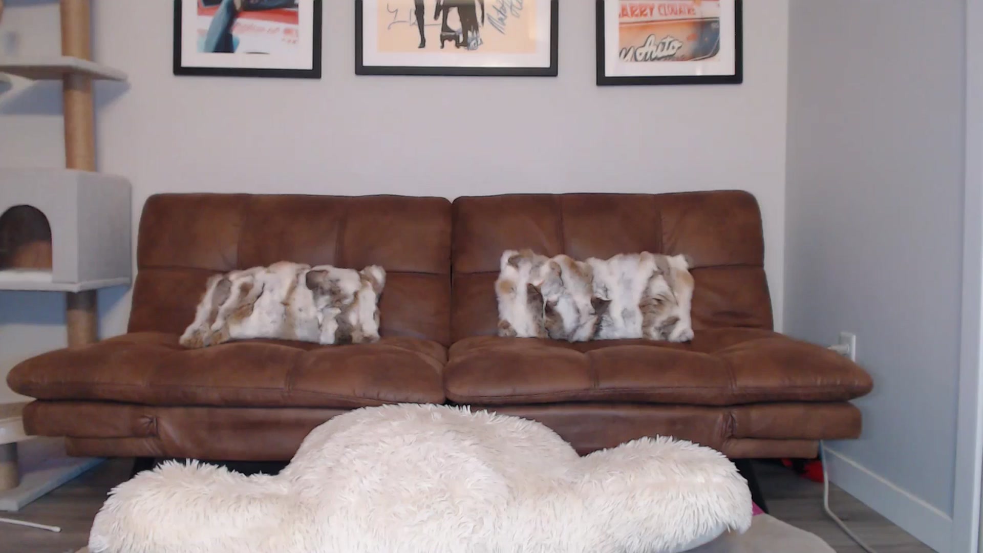 Gallery image thumbnail from AlexisWildest's myfreecams stream on, 01/02/2025, 24:19 image 15 of 20