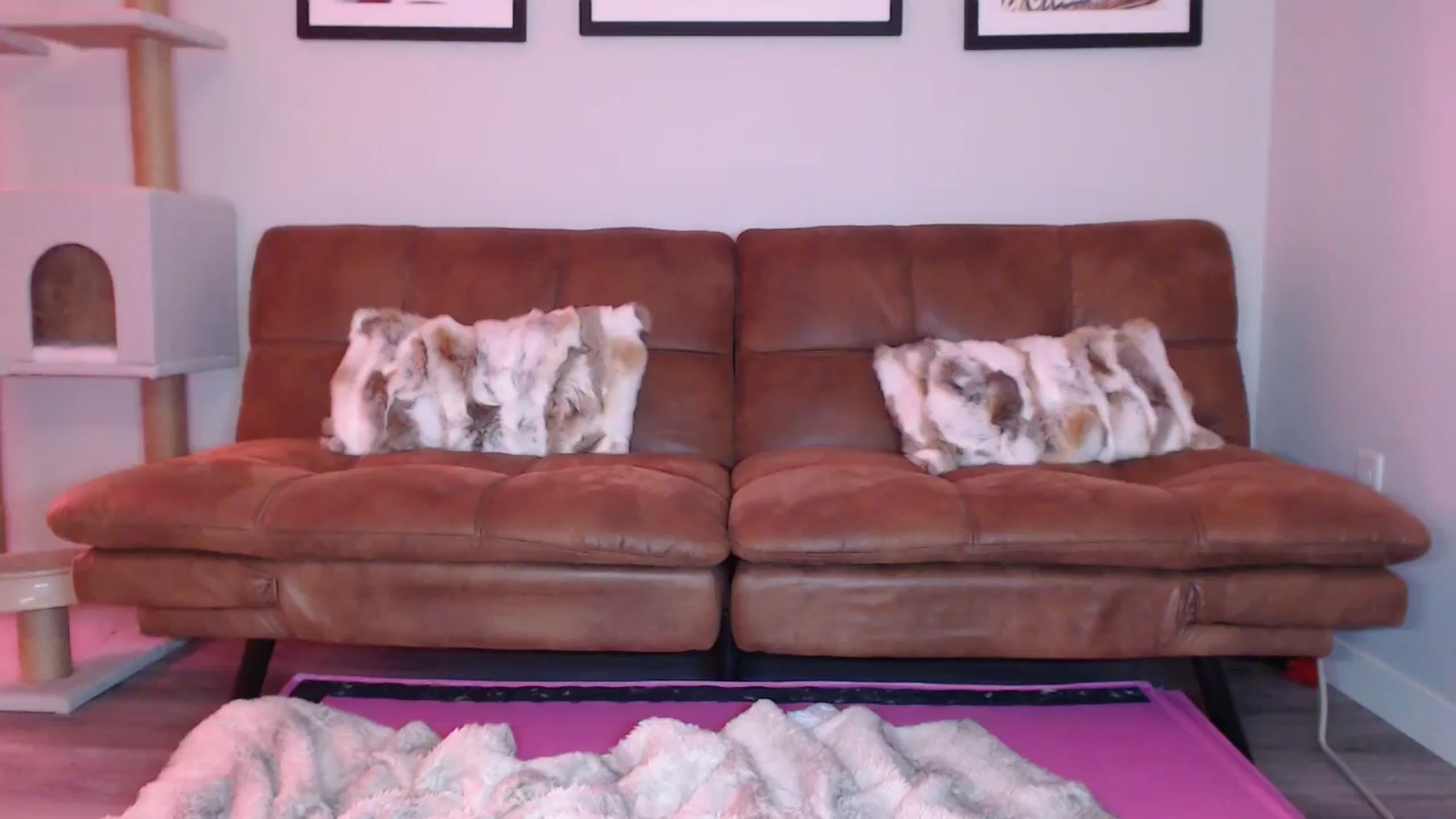 Gallery image thumbnail from AlexisWildest's myfreecams stream on, 01/07/2025, 24:57 image 19 of 20