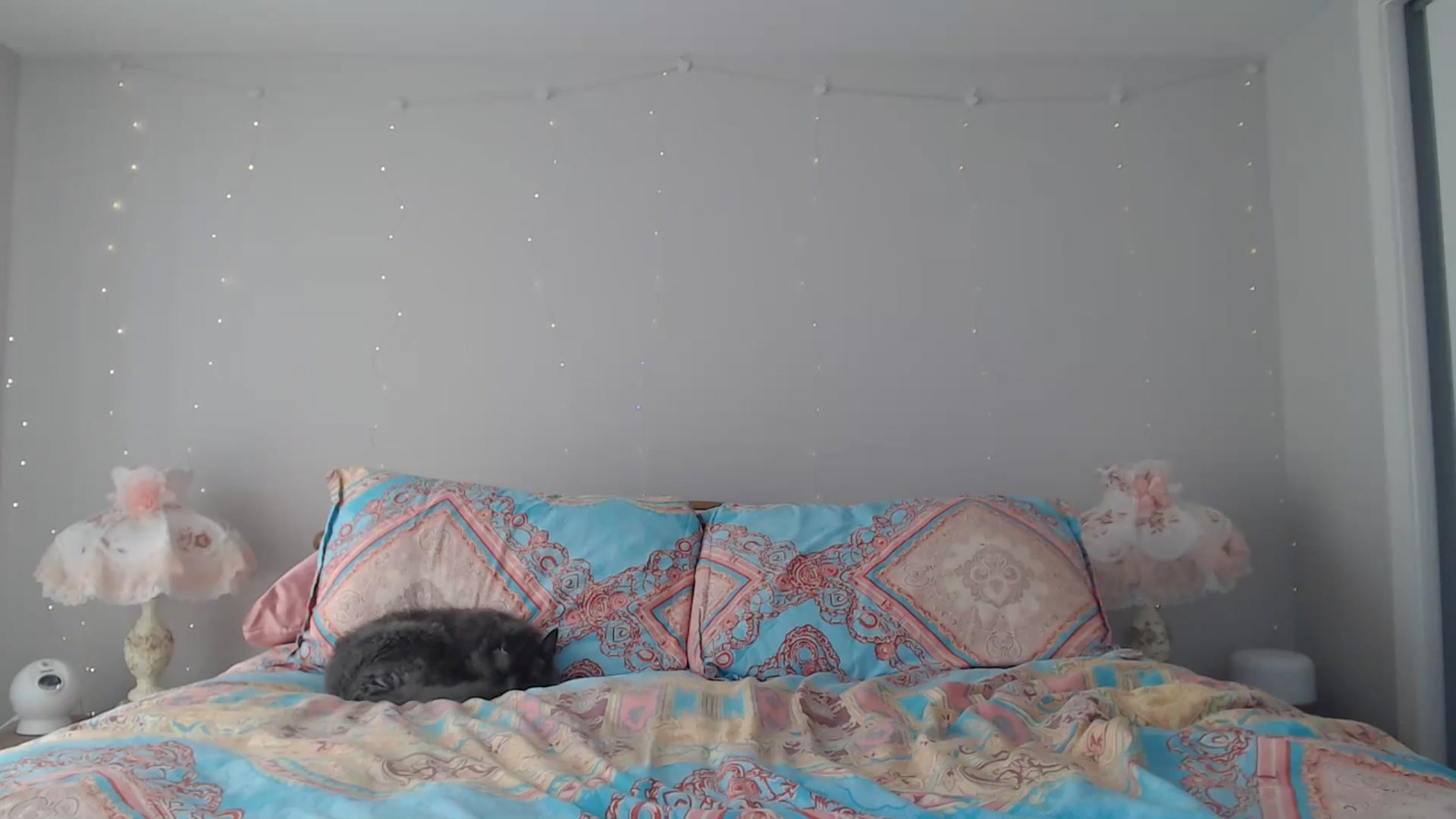 Gallery image thumbnail from AlexisWildest's myfreecams stream on, 01/30/2025, 24:05 image 6 of 20