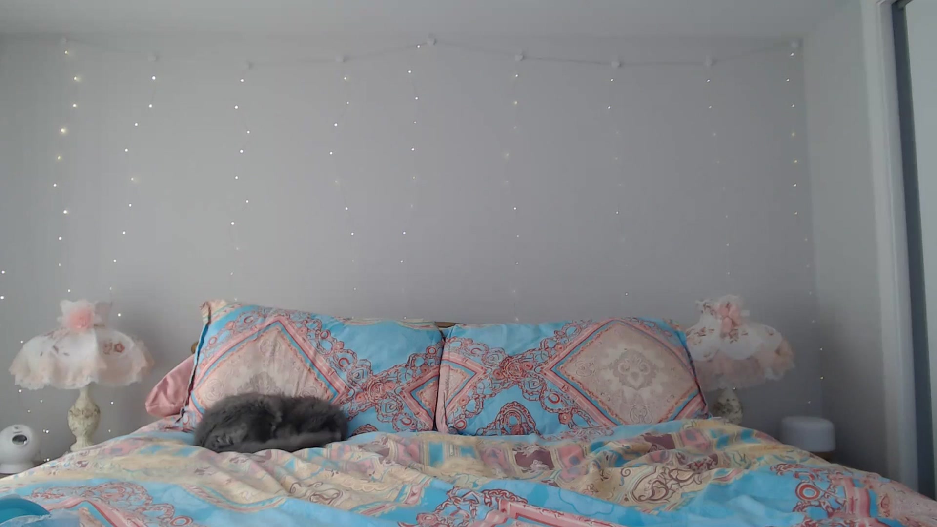 Gallery image thumbnail from AlexisWildest's myfreecams stream on, 01/30/2025, 24:05 image 8 of 20