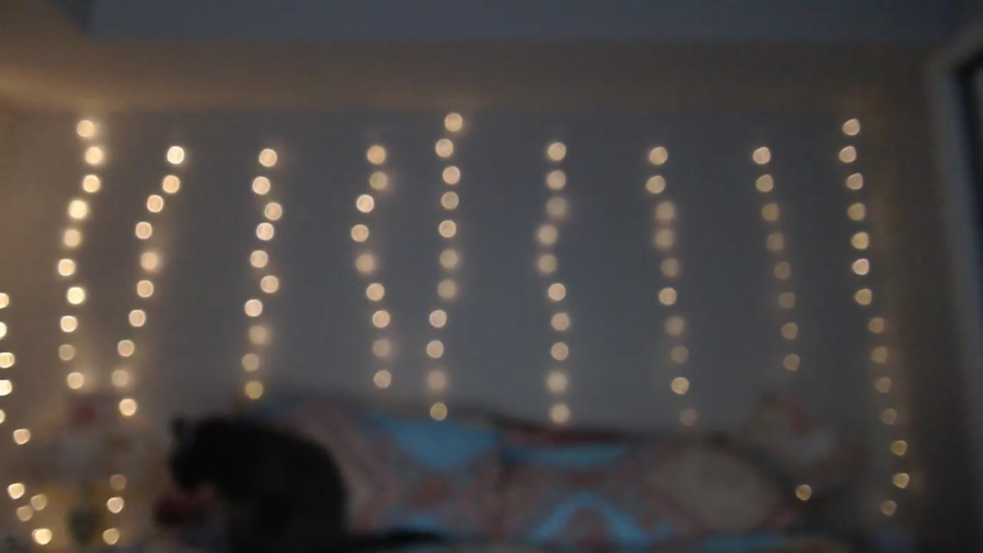 Gallery image thumbnail from AlexisWildest's myfreecams stream on, 01/30/2025, 01:32 image 8 of 20