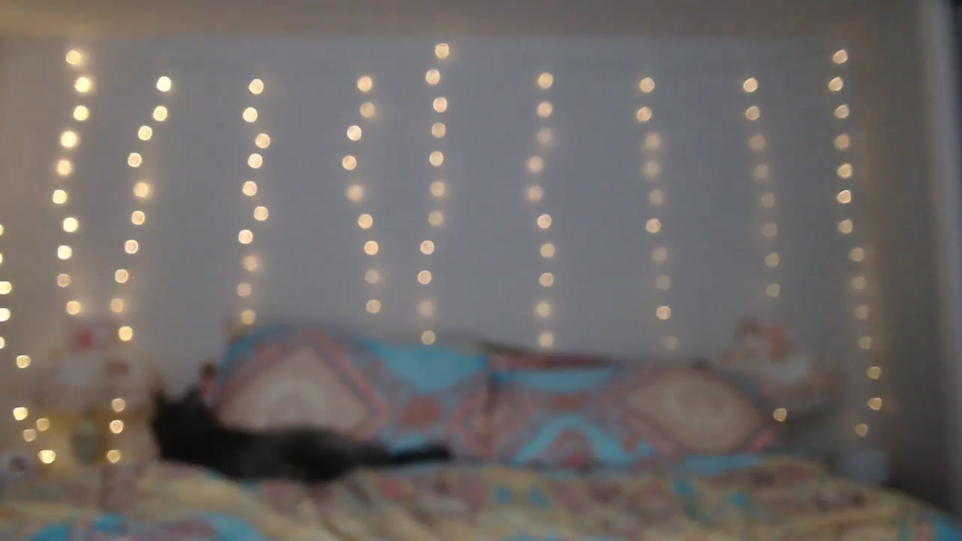 Gallery image thumbnail from AlexisWildest's myfreecams stream on, 01/30/2025, 01:32 image 7 of 20
