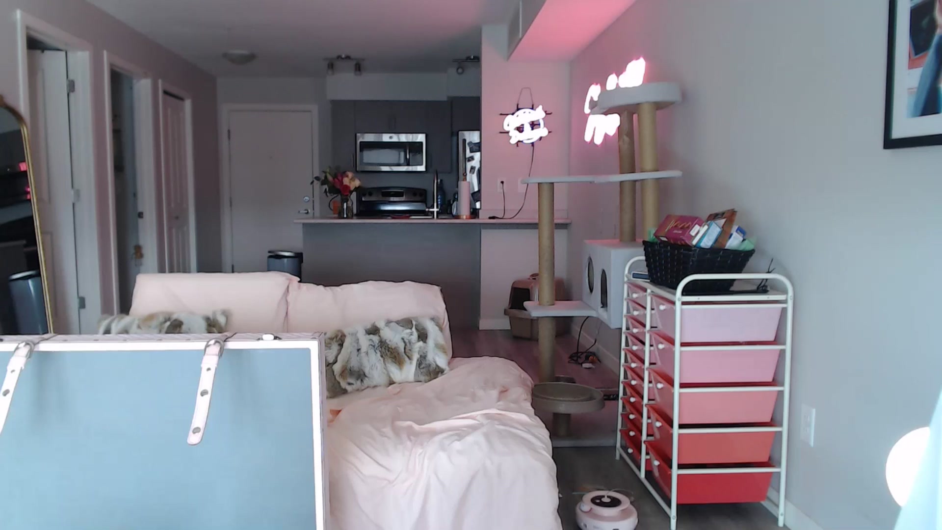 Gallery image thumbnail from AlexisWildest's myfreecams stream on, 02/15/2025, 19:05 image 11 of 20