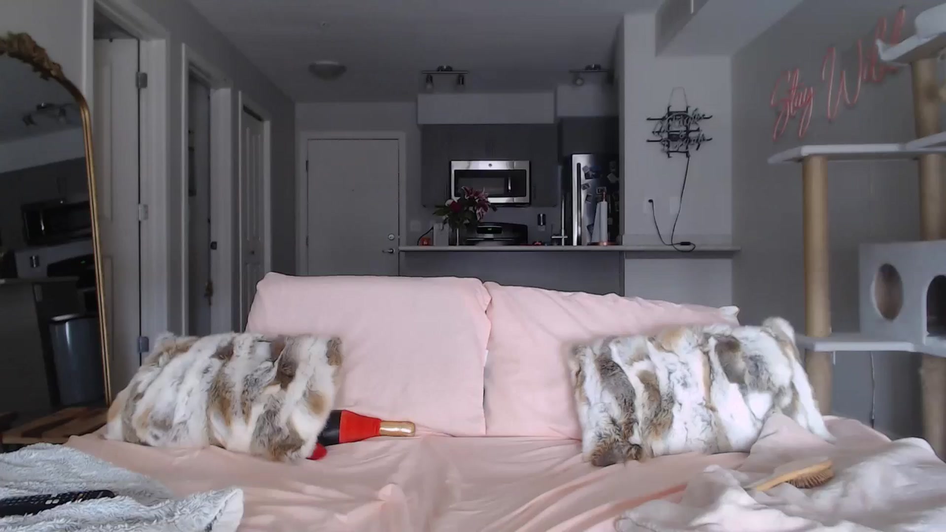 Gallery image thumbnail from AlexisWildest's myfreecams stream on, 02/22/2025, 01:28 image 10 of 20