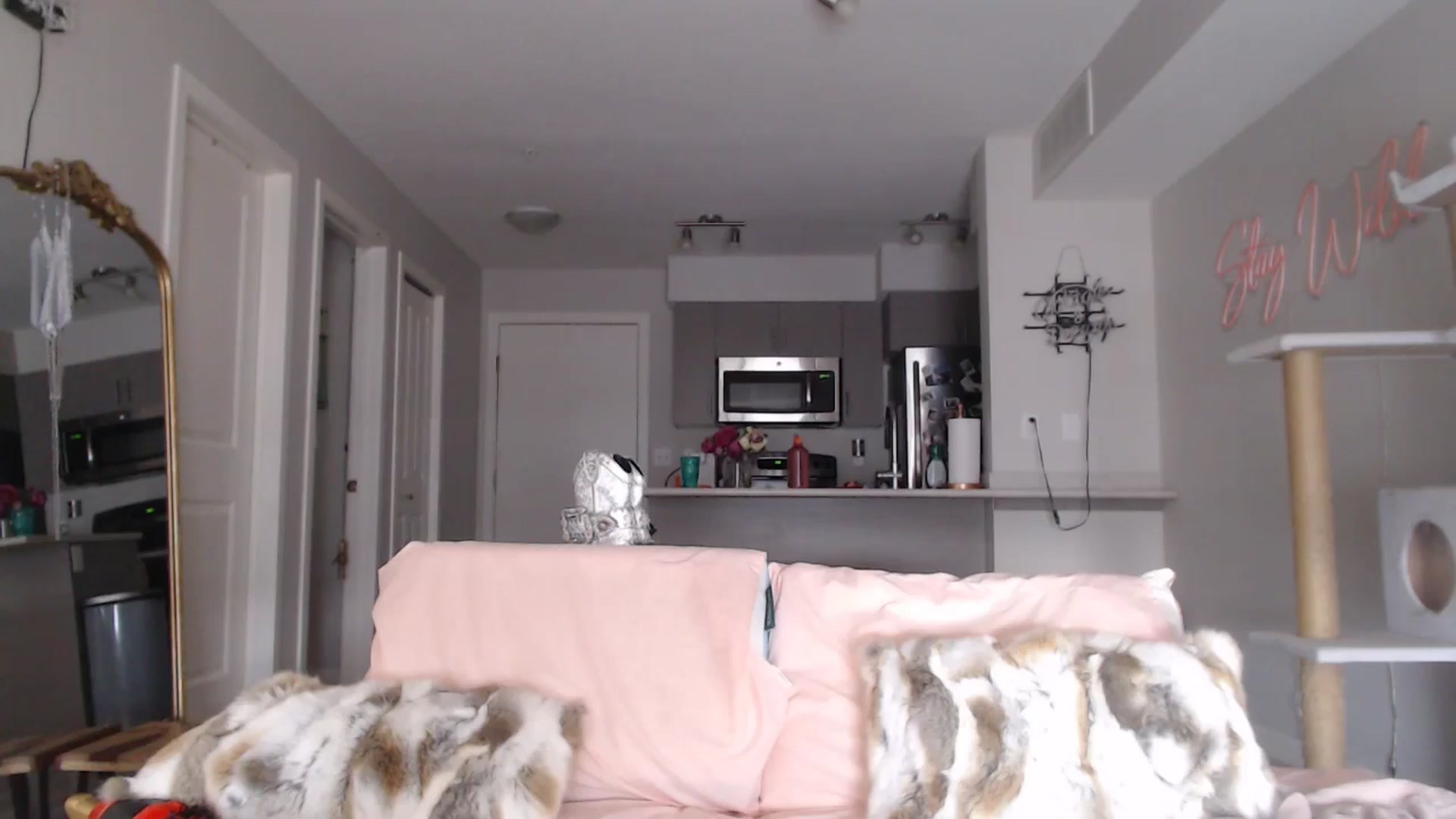 Gallery image thumbnail from AlexisWildest's myfreecams stream on, 02/23/2025, 23:23 image 3 of 20