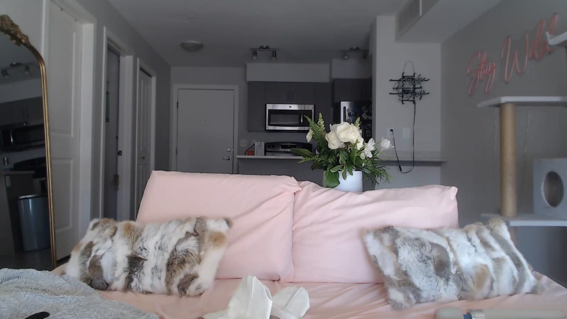Gallery image thumbnail from AlexisWildest's myfreecams stream on, 02/26/2025, 23:39 image 12 of 20