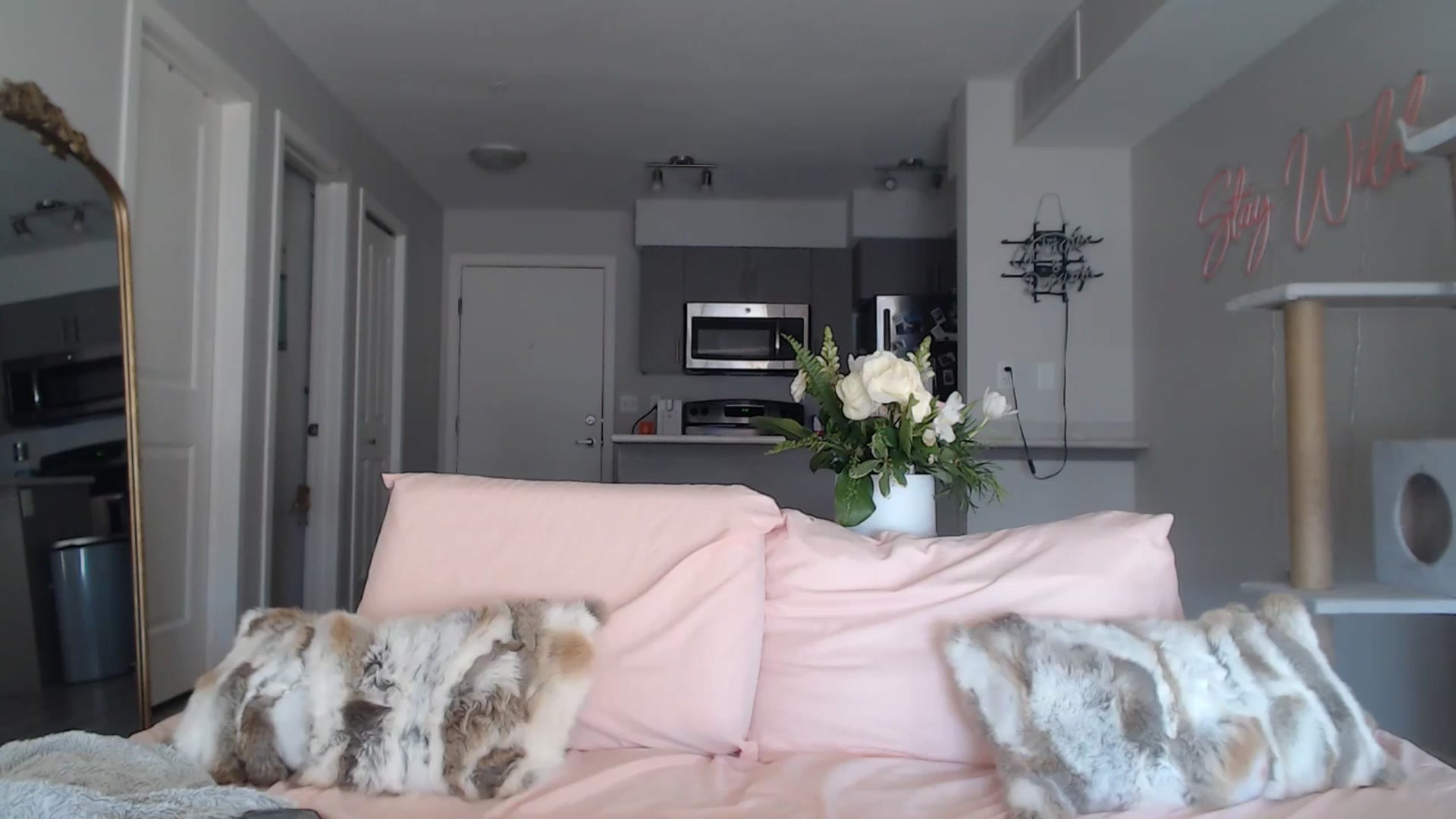 Gallery image thumbnail from AlexisWildest's myfreecams stream on, 02/26/2025, 23:39 image 19 of 20