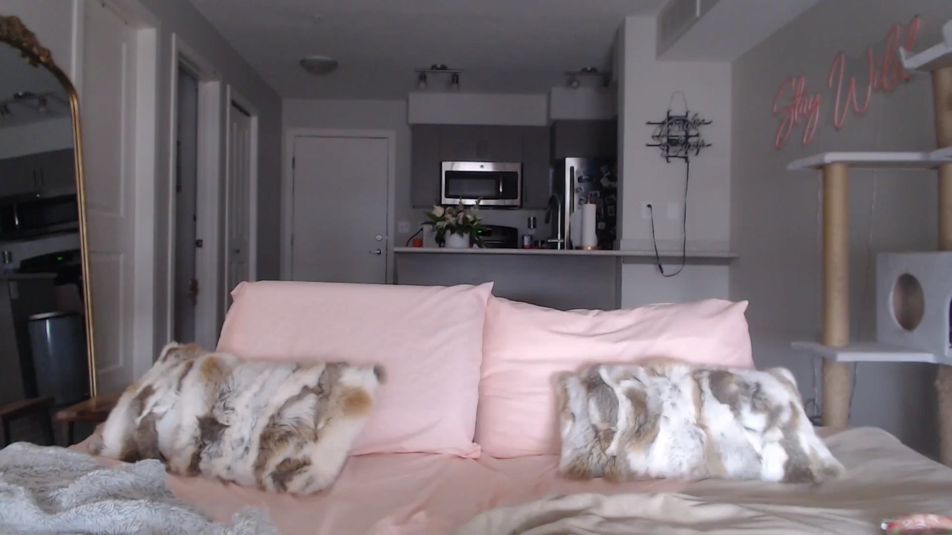 Gallery image thumbnail from AlexisWildest's myfreecams stream on, 03/01/2025, 24:38 image 3 of 20
