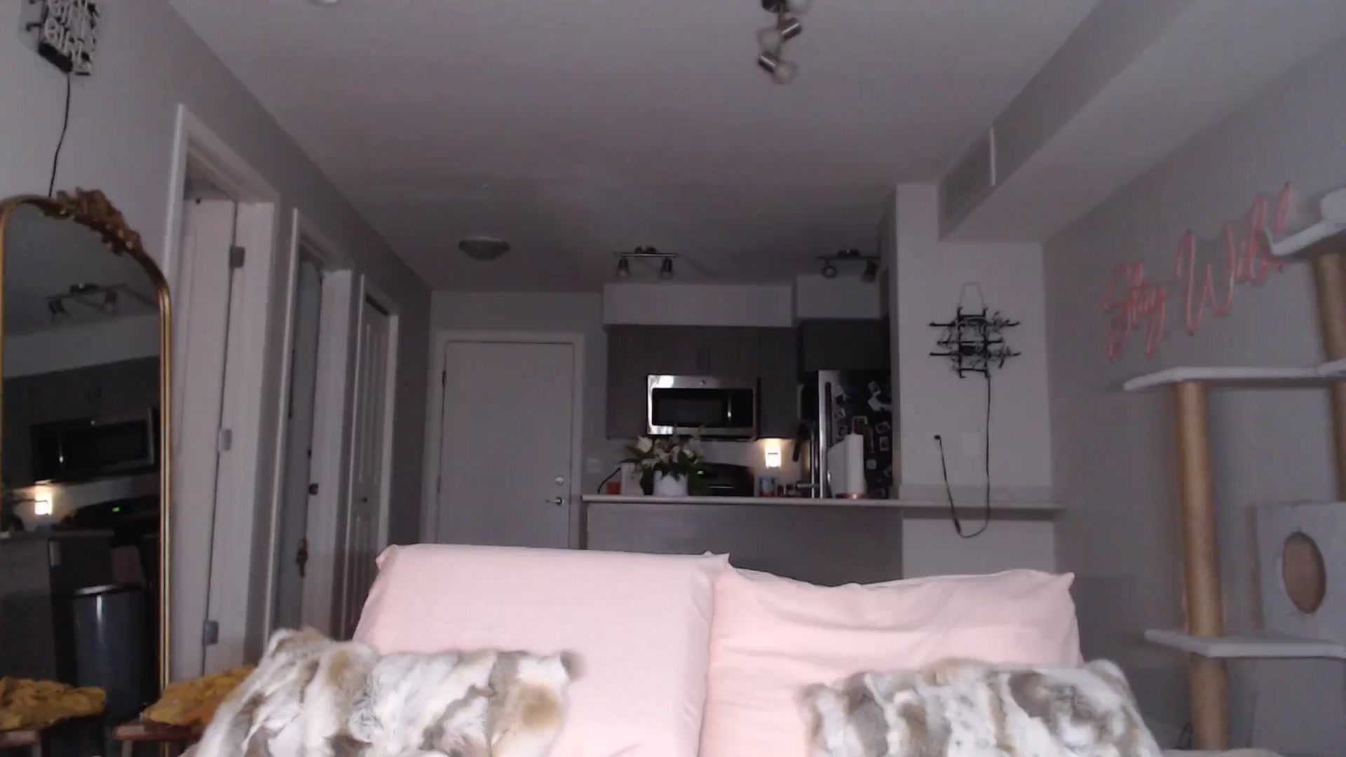 Gallery image thumbnail from AlexisWildest's myfreecams stream on, 03/01/2025, 24:38 image 20 of 20