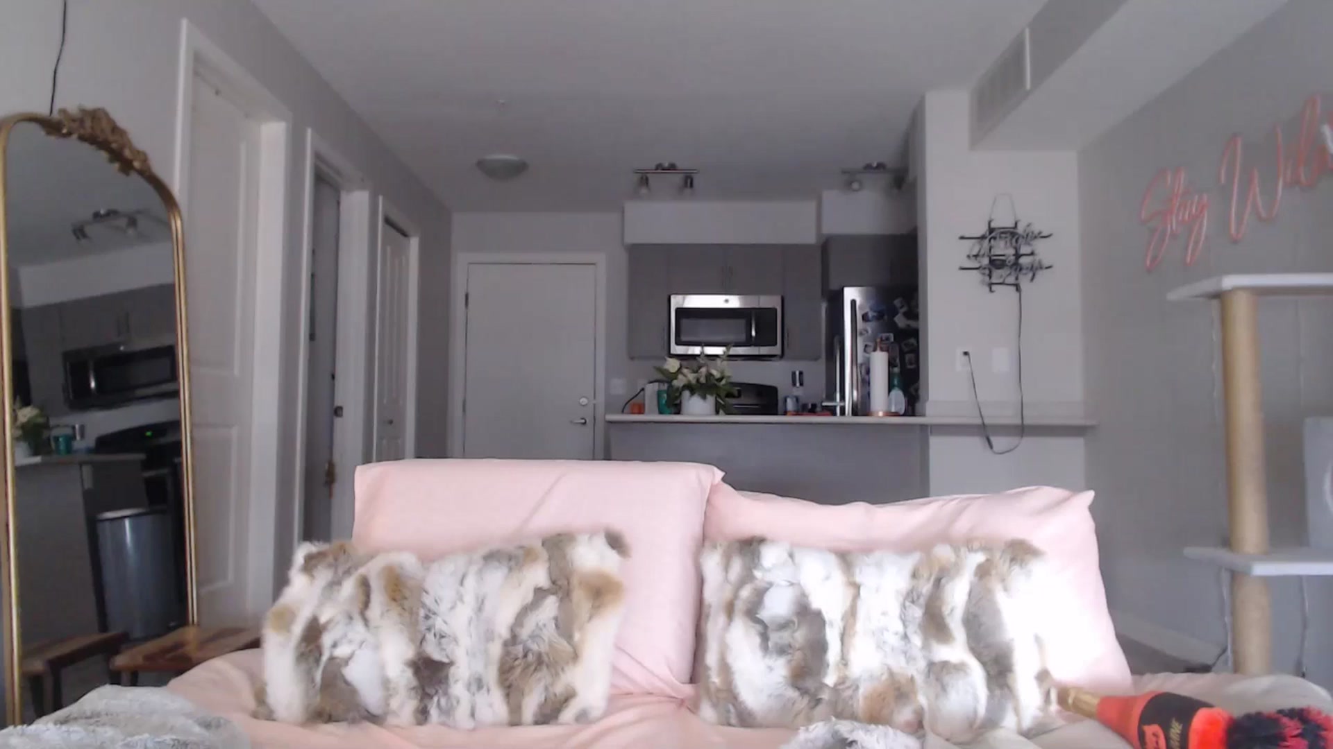 Gallery image thumbnail from AlexisWildest's myfreecams stream on, 03/01/2025, 22:40 image 15 of 20