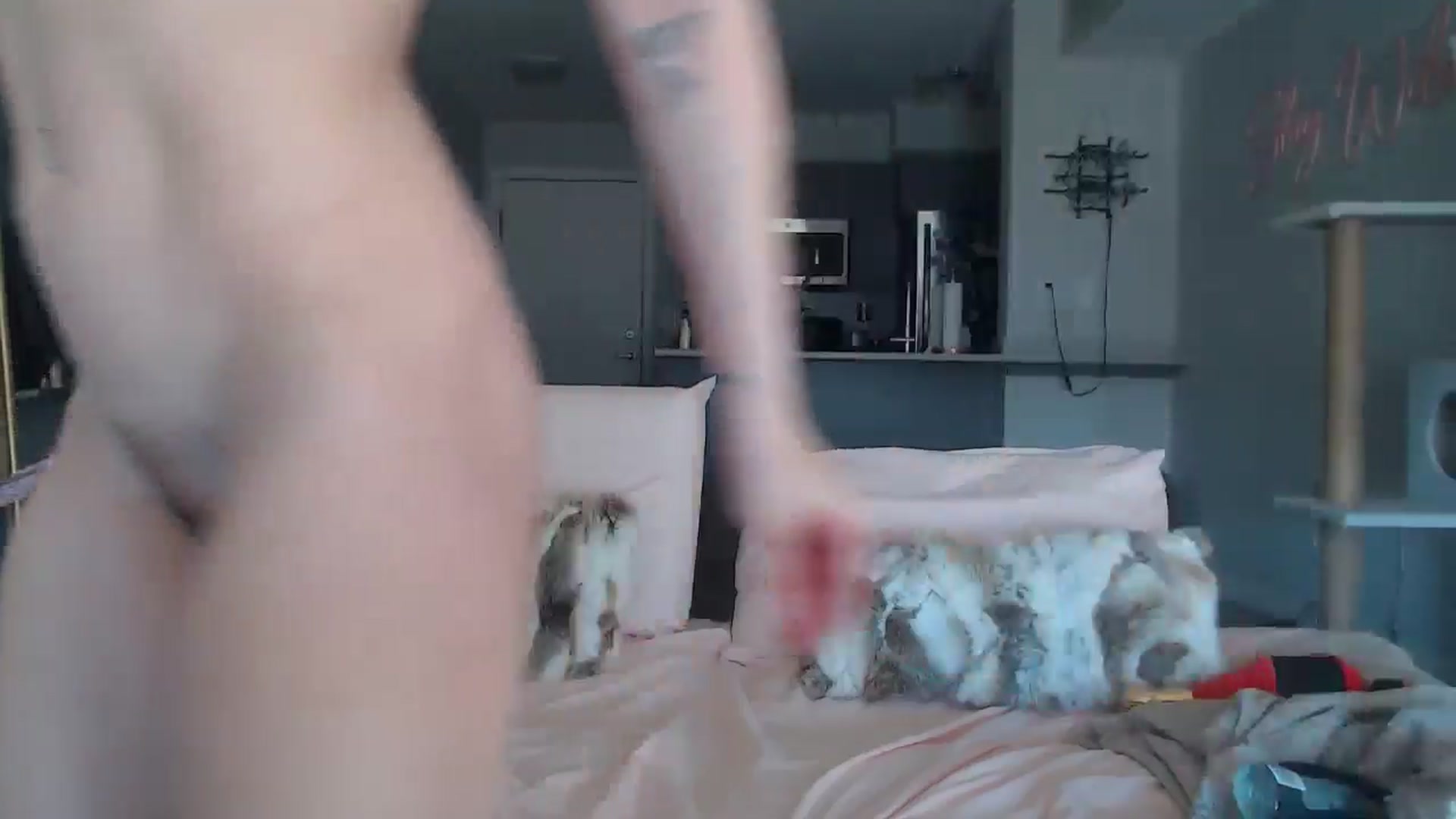 Gallery image thumbnail from AlexisWildest's myfreecams stream on, 03/03/2025, 24:28 image 17 of 20