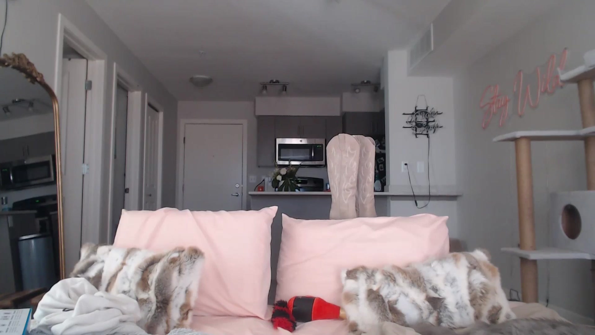 Gallery image thumbnail from AlexisWildest's myfreecams stream on, 03/06/2025, 24:05 image 6 of 20