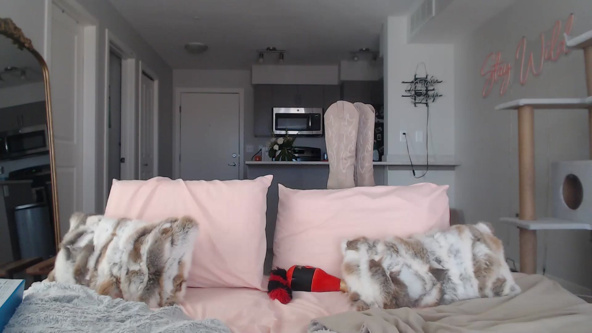 Gallery image thumbnail from AlexisWildest's myfreecams stream on, 03/06/2025, 24:05 image 2 of 20