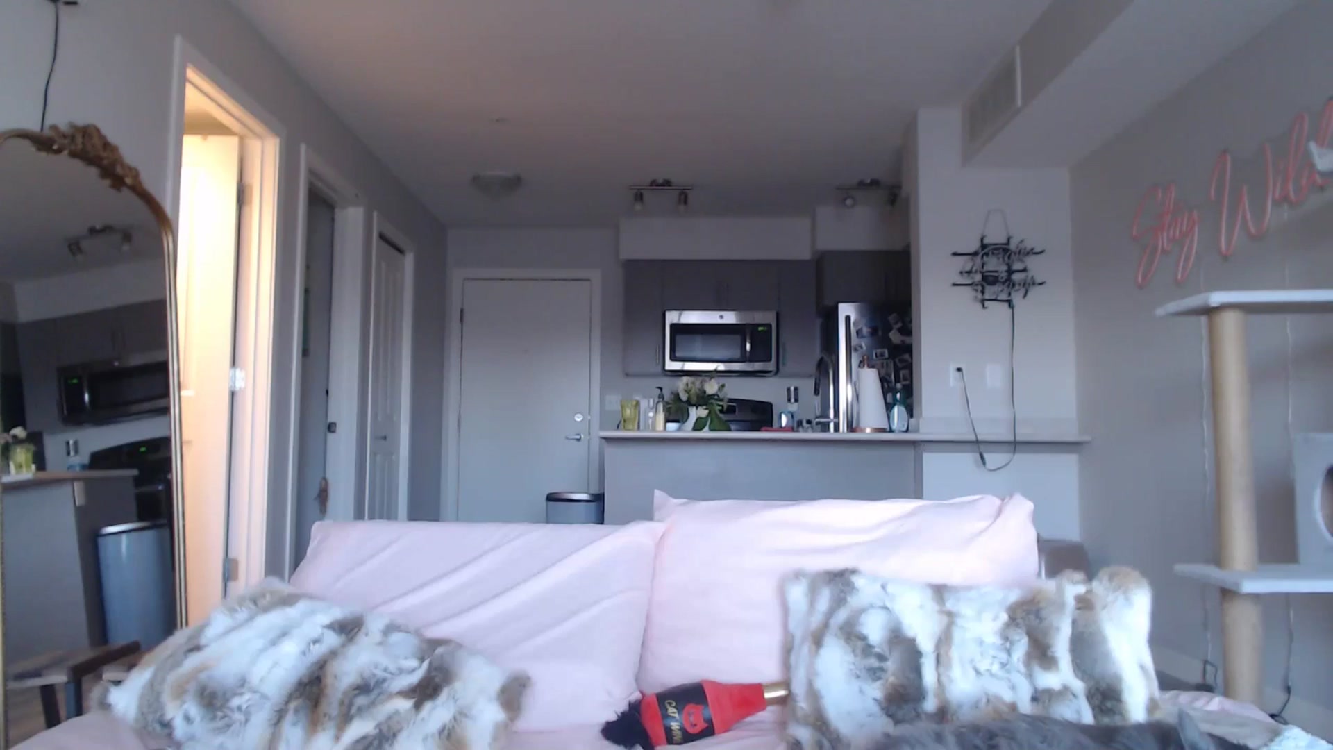Gallery image thumbnail from AlexisWildest's myfreecams stream on, 03/08/2025, 01:57 image 15 of 20