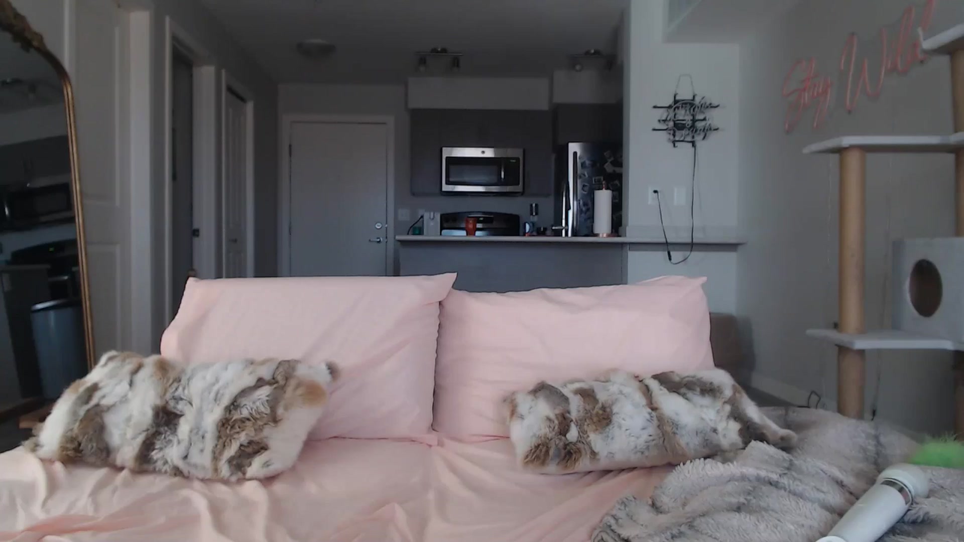 Gallery image thumbnail from AlexisWildest's myfreecams stream on, 03/15/2025, 19:46 image 18 of 20